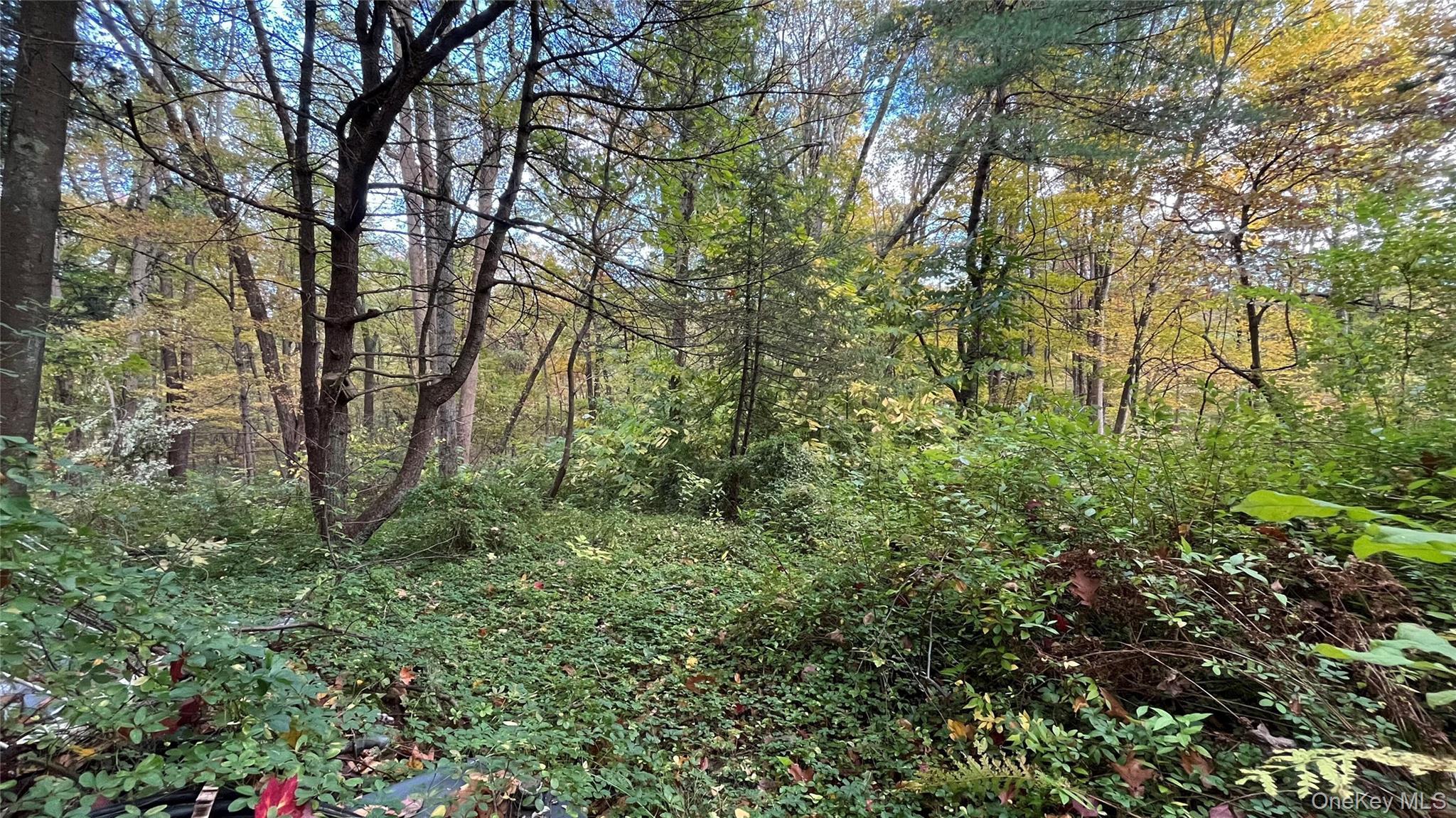 Single Family Swartekill  Ulster County, NY 12528, MLS-925099-4