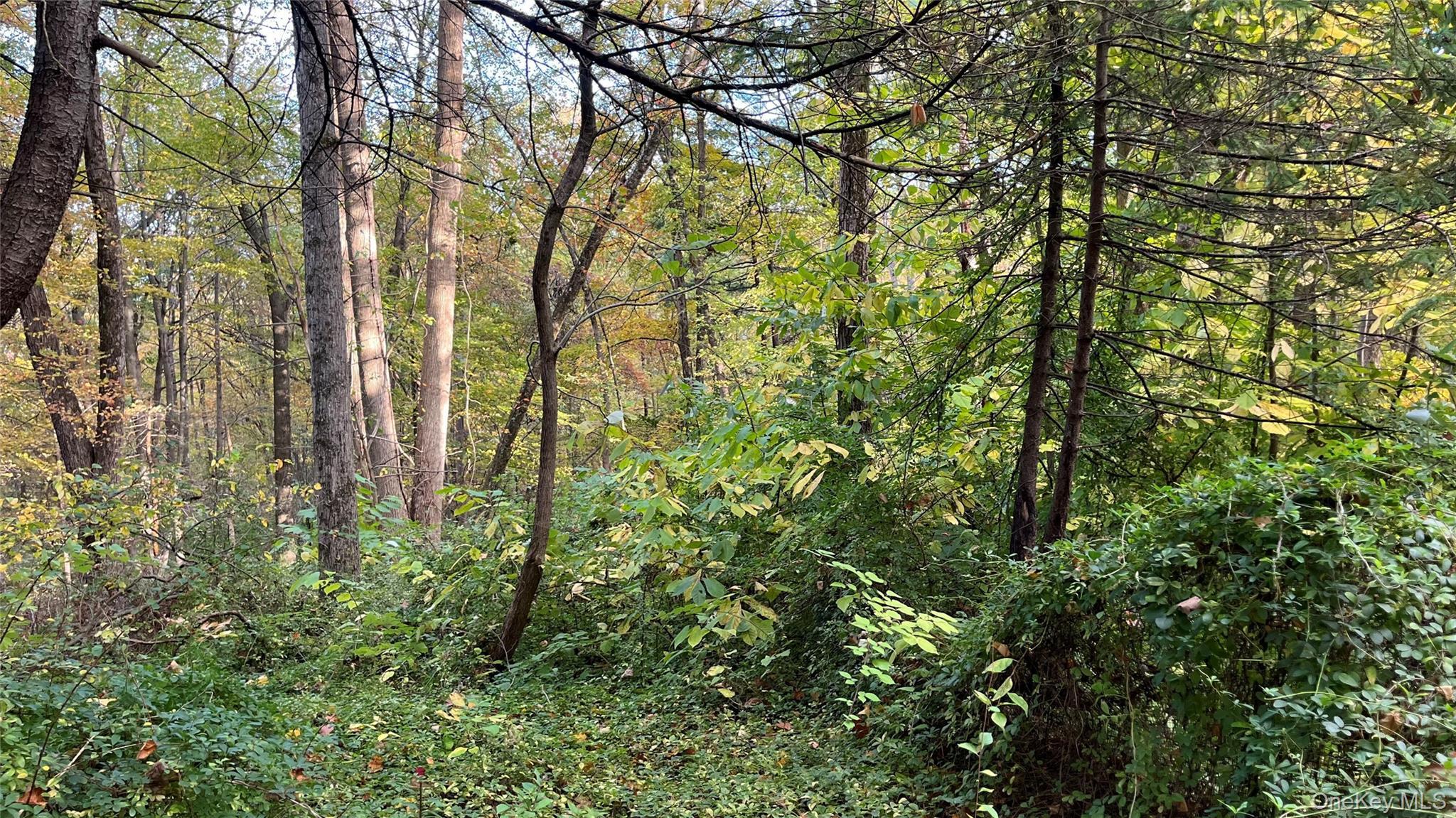 Single Family Swartekill  Ulster County, NY 12528, MLS-925099-5