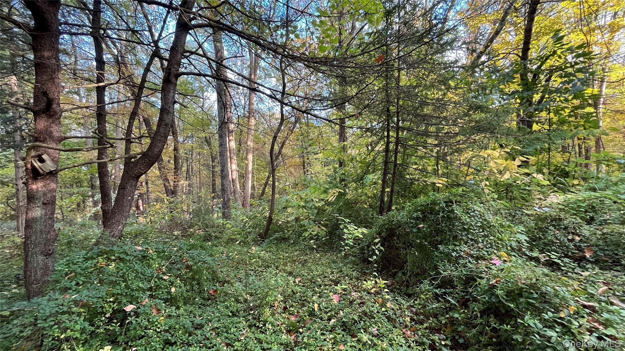 Single Family Swartekill  Ulster County, NY 12528, MLS-925099-6