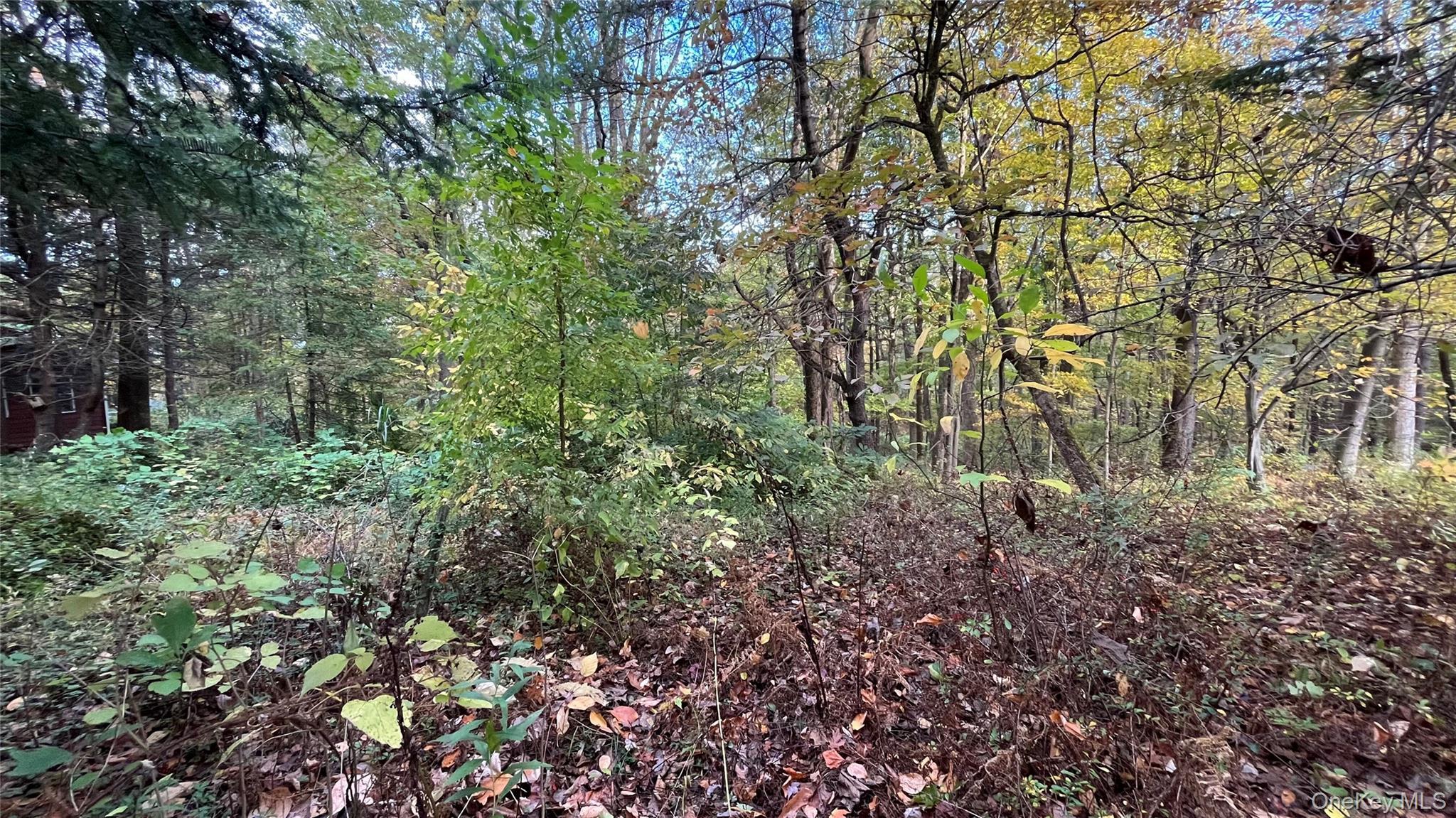 Single Family Swartekill  Ulster County, NY 12528, MLS-925099-7