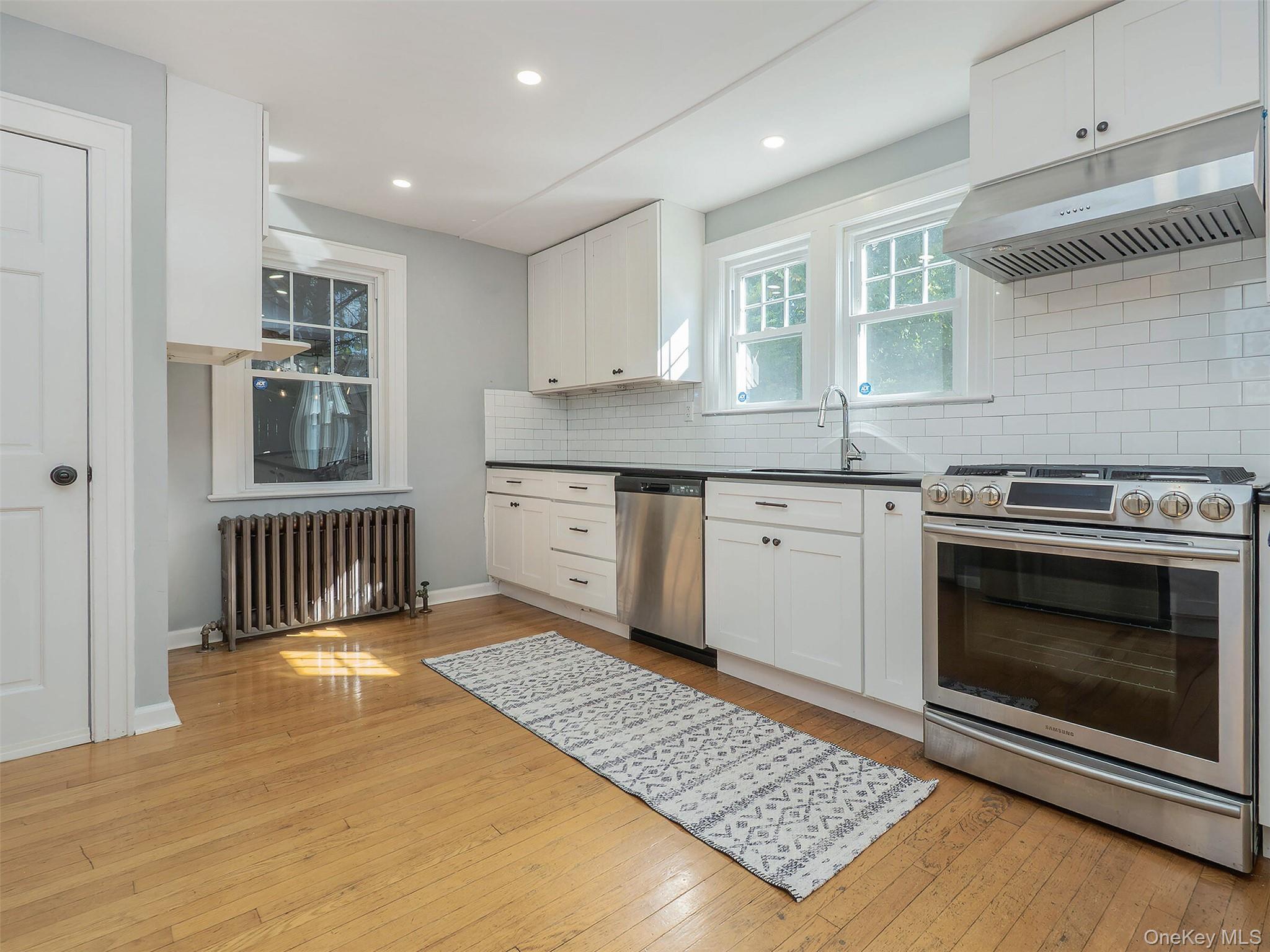 Single Family Avenue A Nassau County, NY 11050, MLS-925102-11