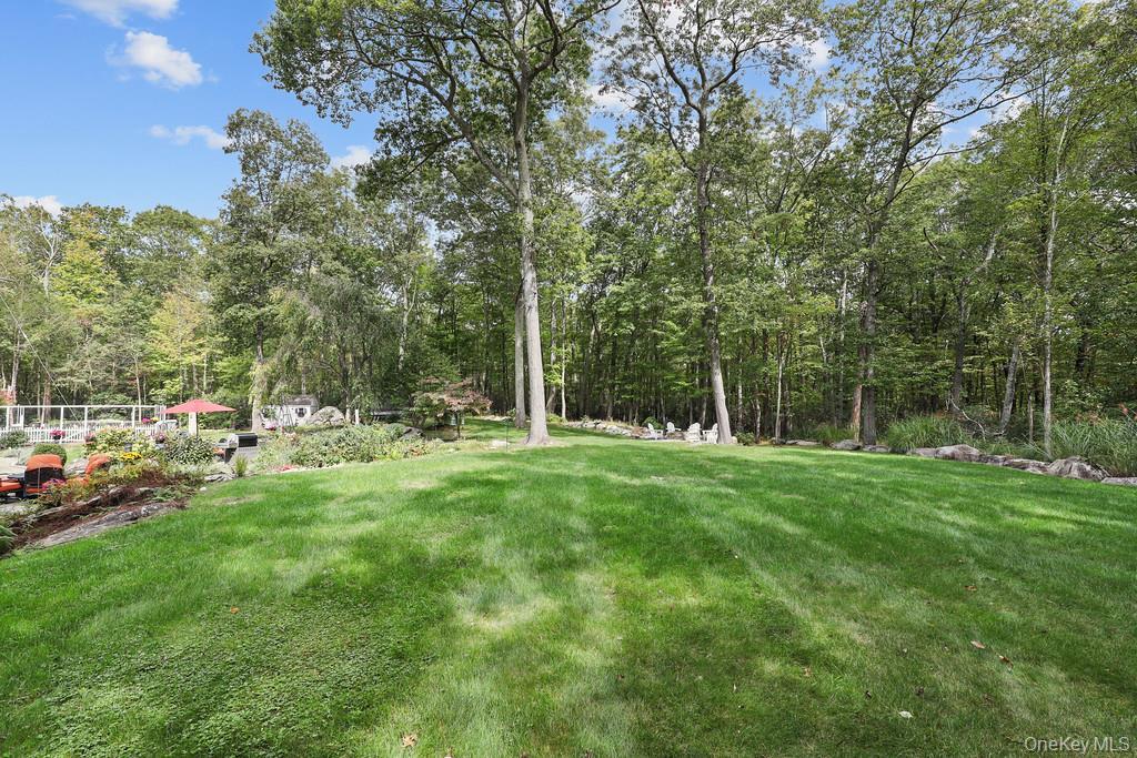 Single Family Peters Westchester County, NY 10576, MLS-925155-30