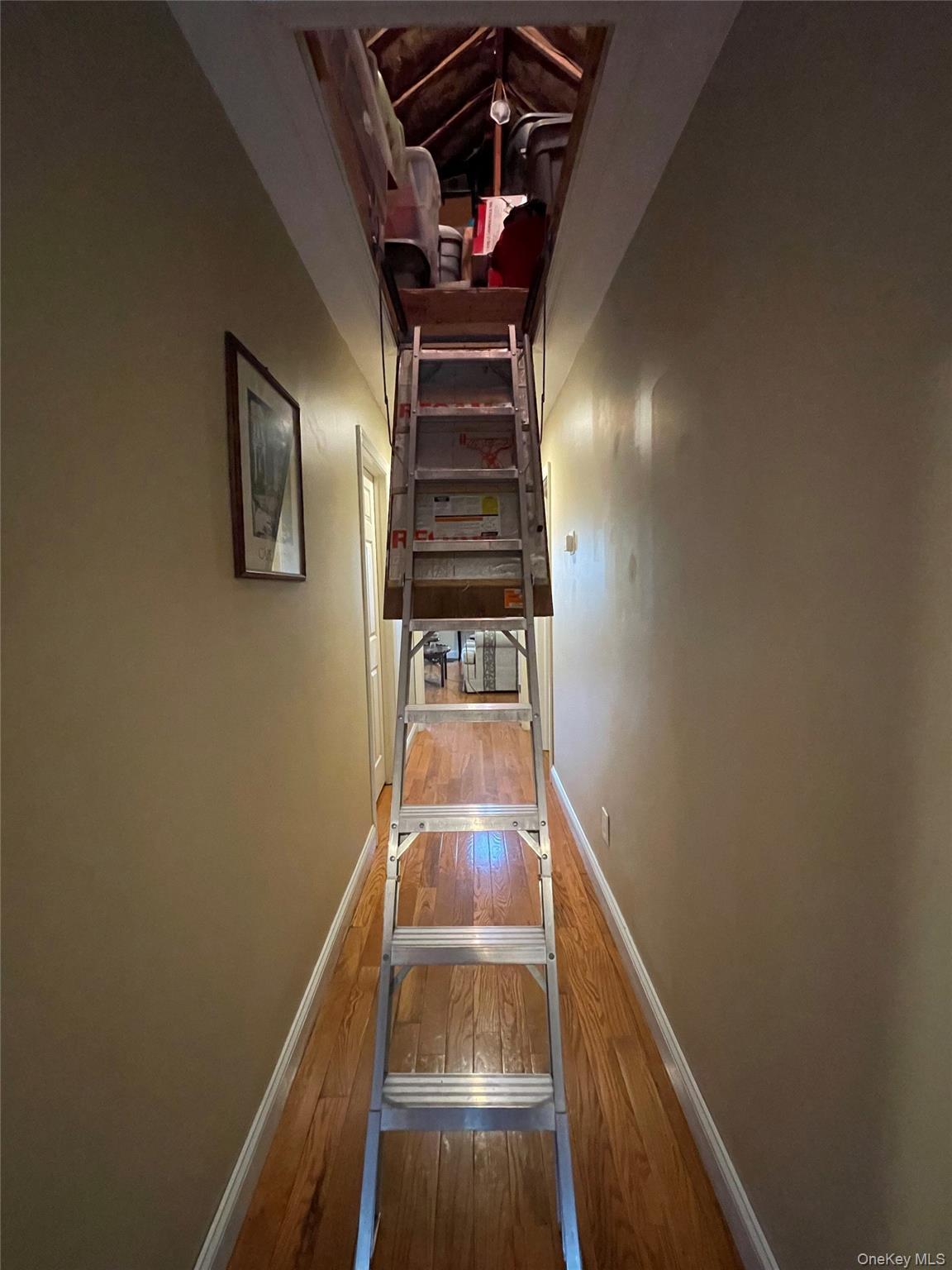 Single Family West Nassau County, NY 11518, MLS-925209-24