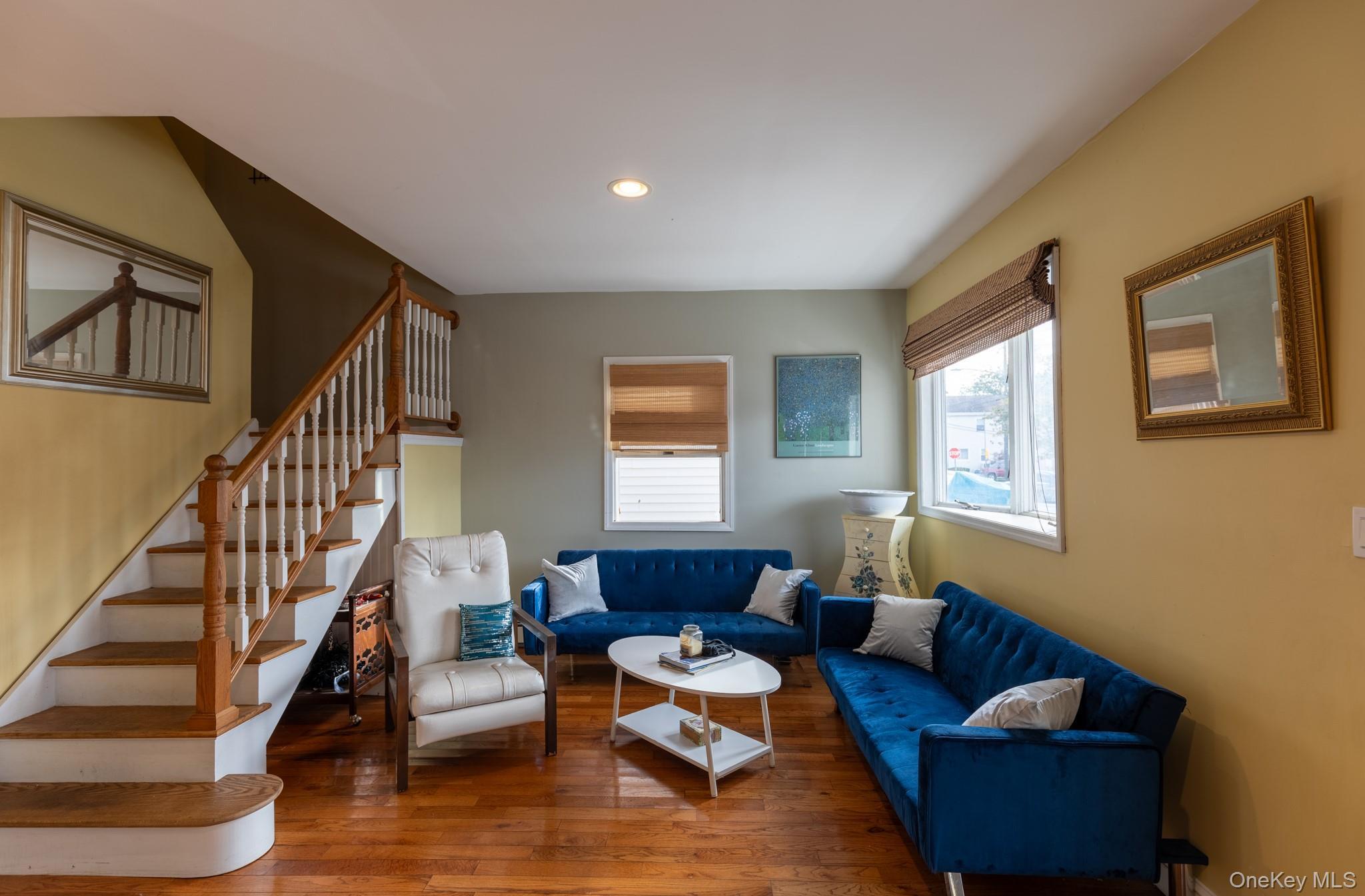 Single Family West Nassau County, NY 11518, MLS-925209-5