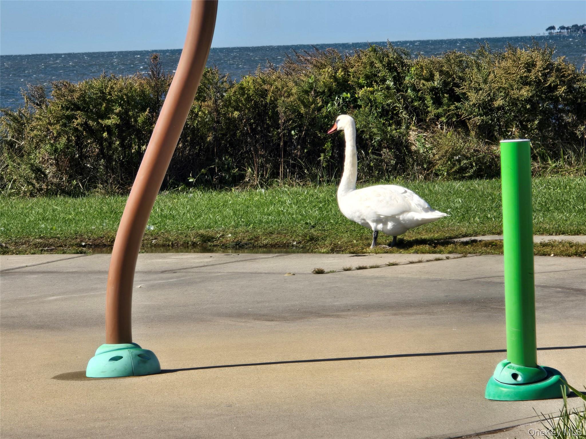 Single Family Saint George  Suffolk County, NY 11967, MLS-925217-42