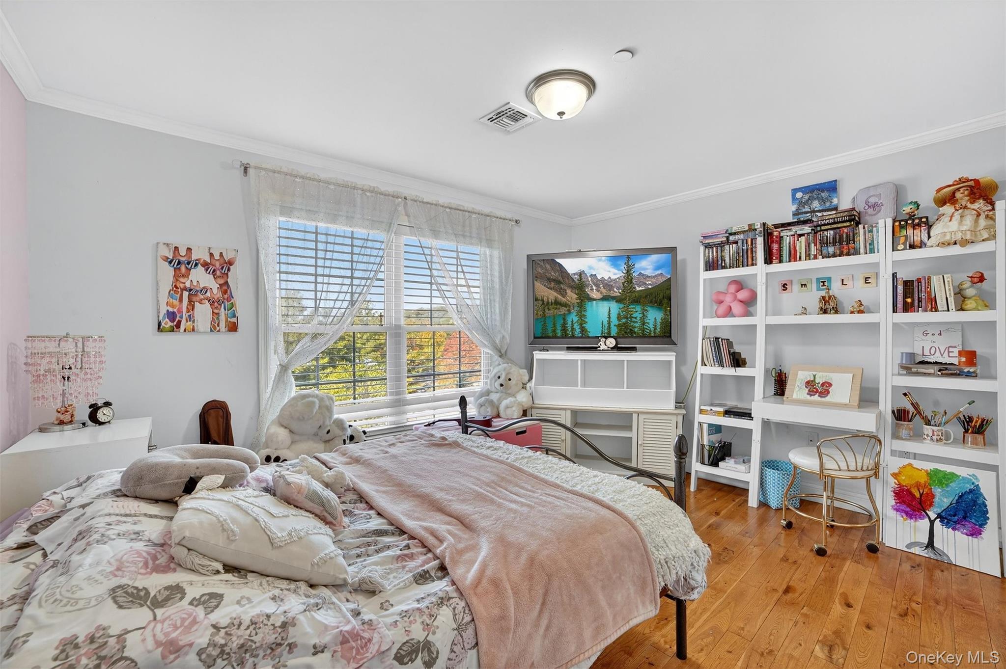 Single Family Clarion Westchester County, NY 10603, MLS-925309-35