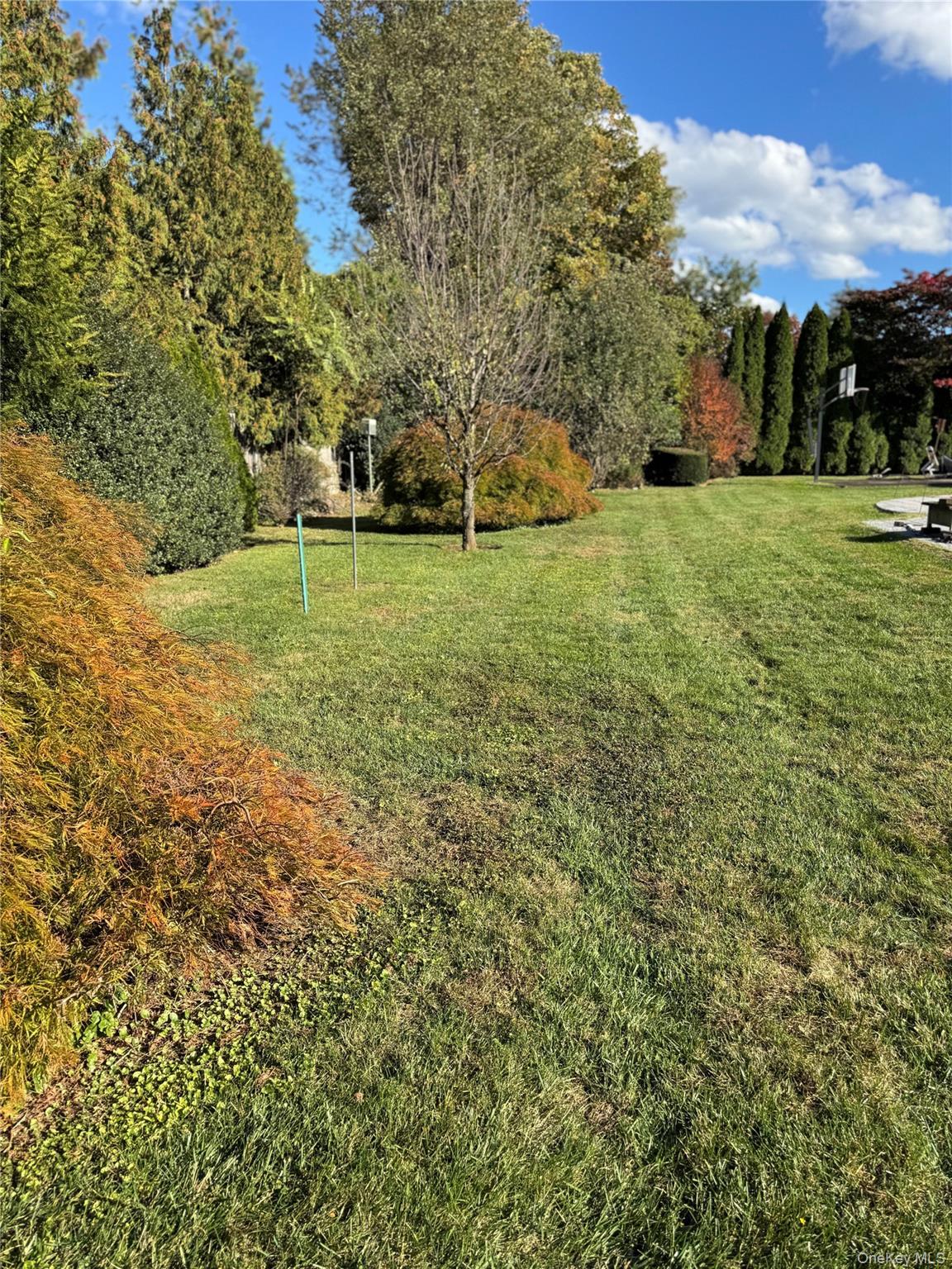 Single Family Dorset  Westchester County, NY 10583, MLS-925335-4