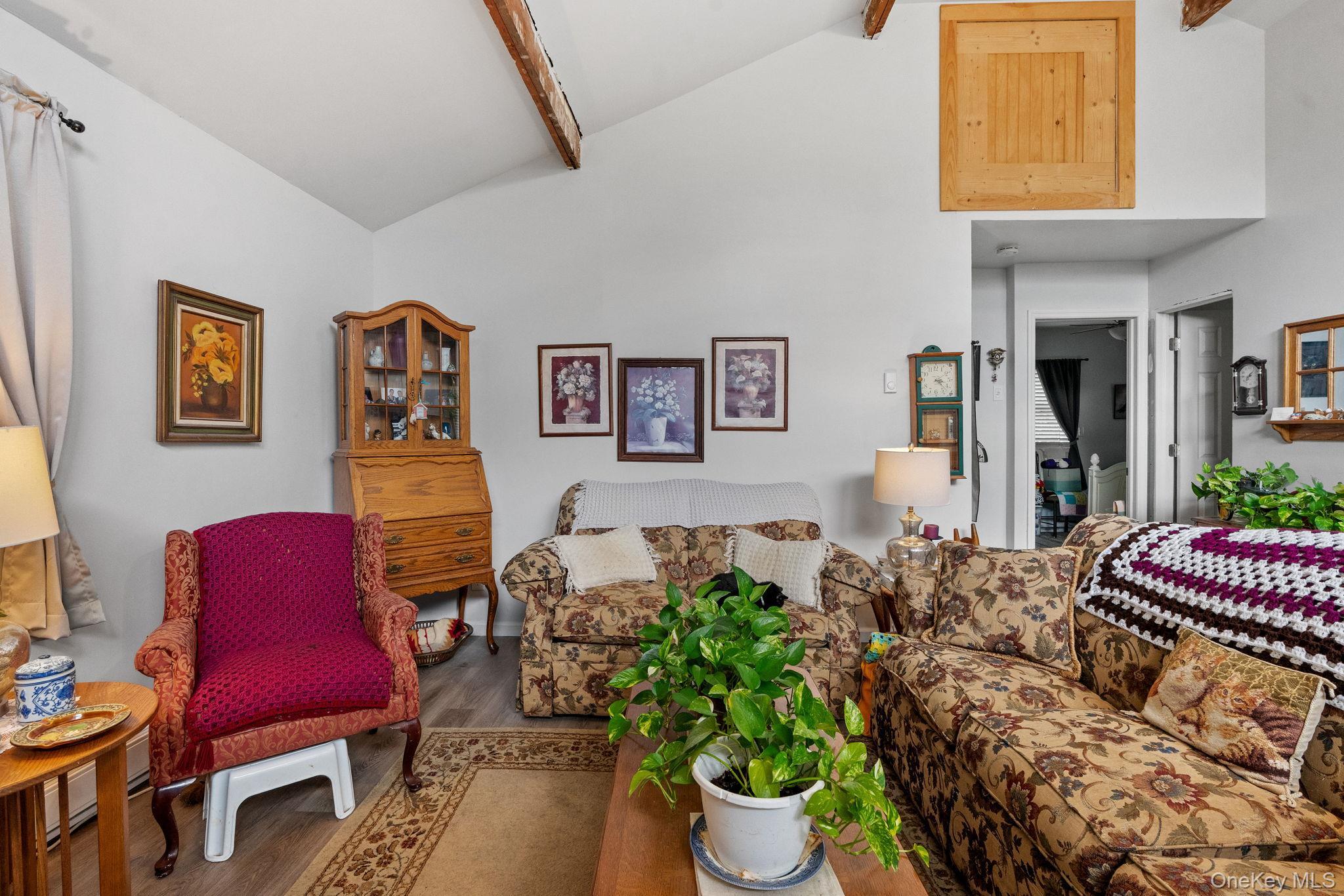 Single Family Route 67  Greene County, NY 12423, MLS-925472-10