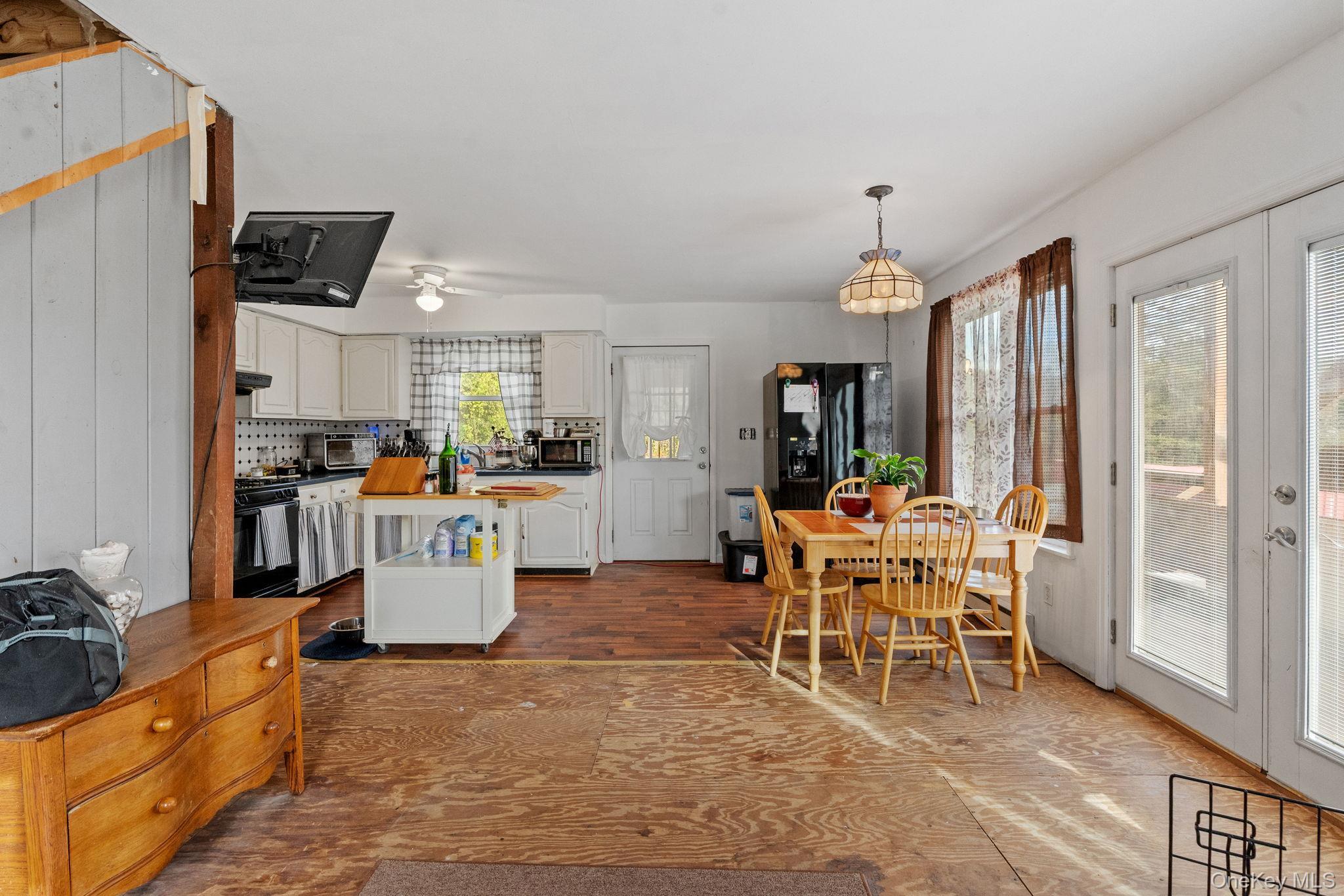 Single Family Route 67  Greene County, NY 12423, MLS-925472-23