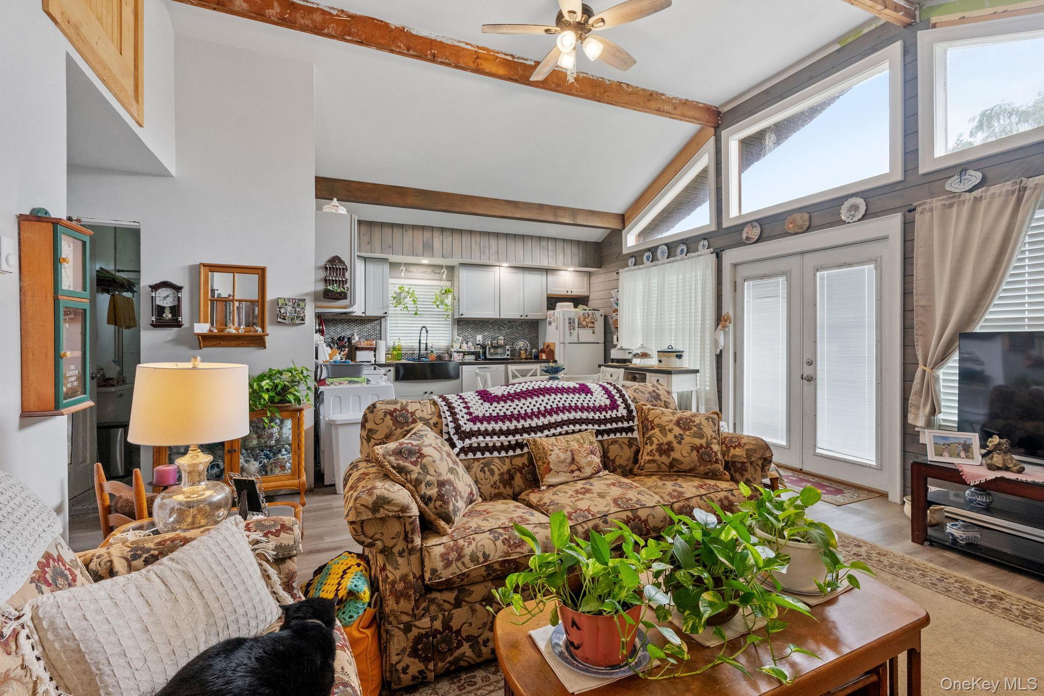 Single Family Route 67  Greene County, NY 12423, MLS-925472-8