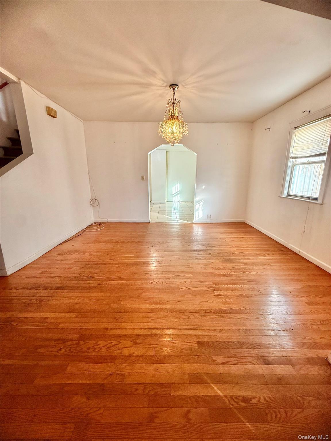 Single Family 135th  Queens, NY 11420, MLS-925513-7