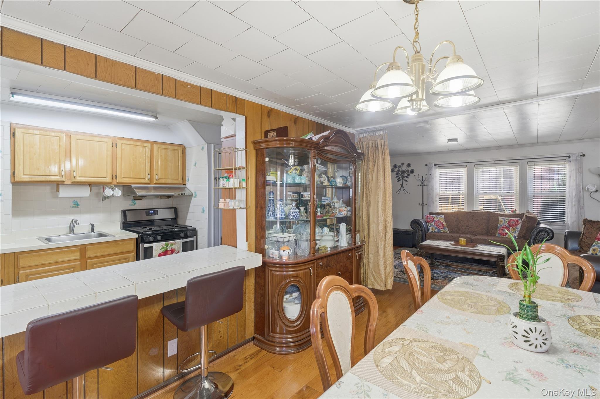 Single Family 207th Queens, NY 11427, MLS-925529-8