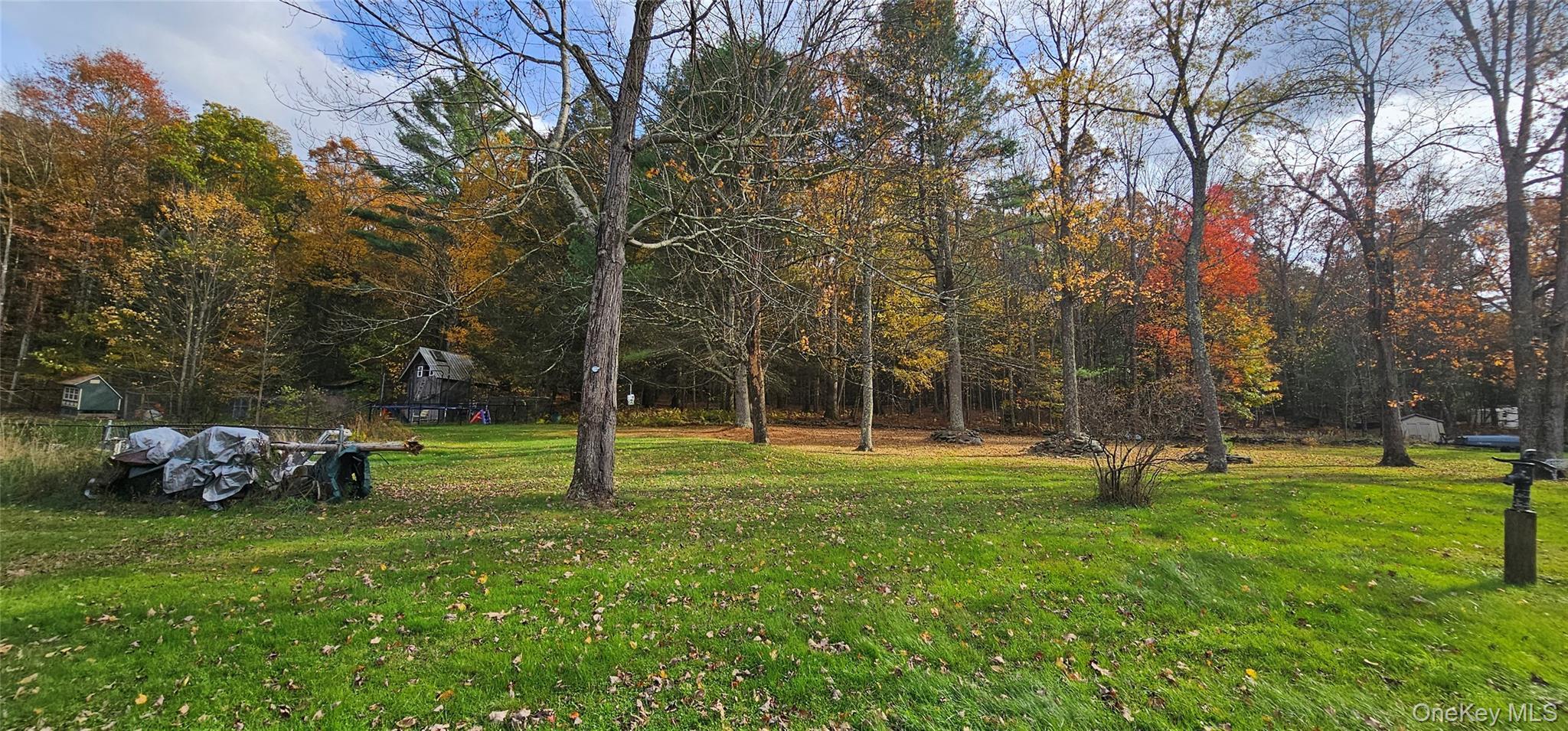 Single Family Parker Sullivan County, NY 12764, MLS-925607-19