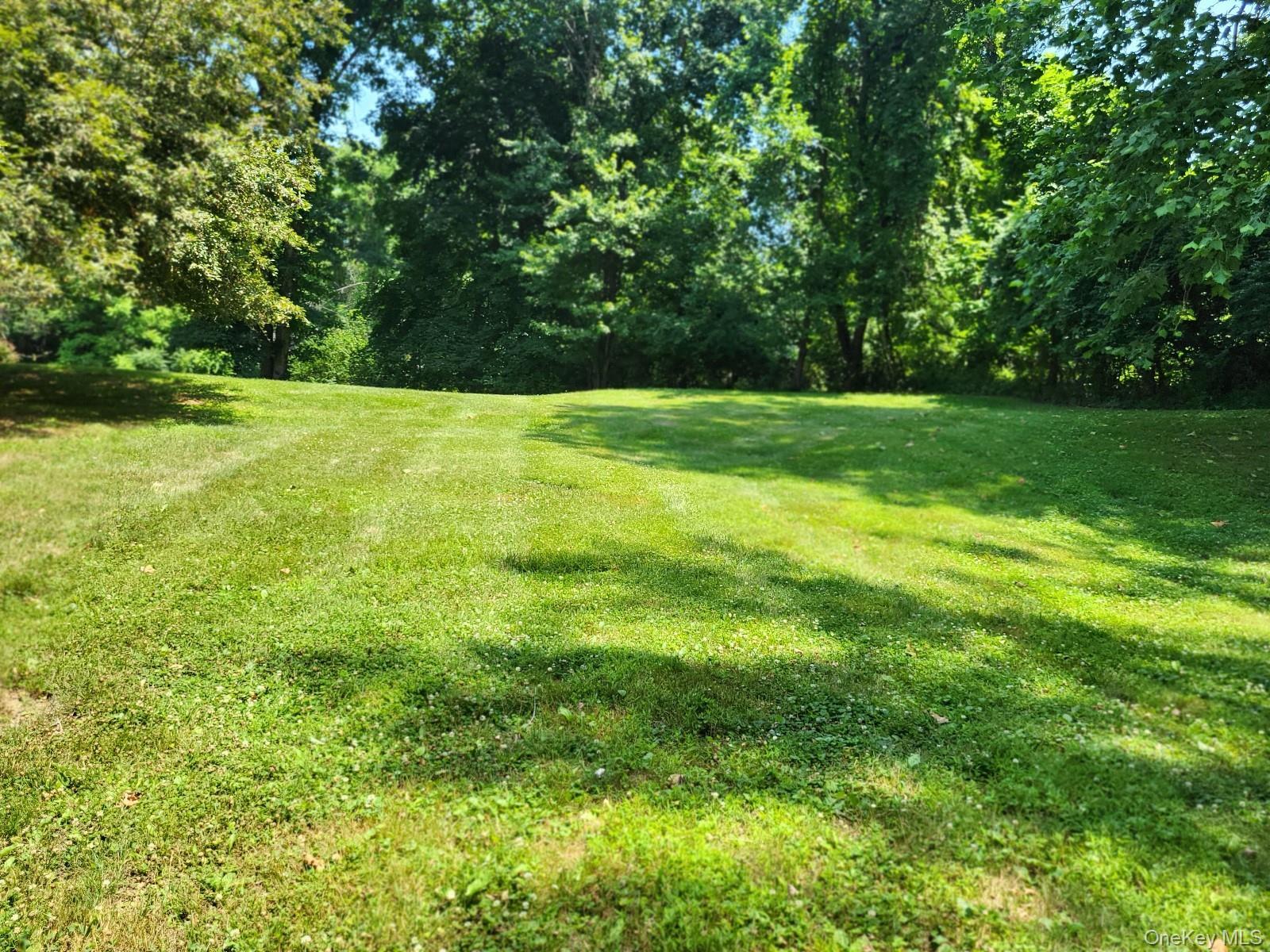 Single Family Blue Jay Drive Orange County, NY 12550, MLS-925641-6