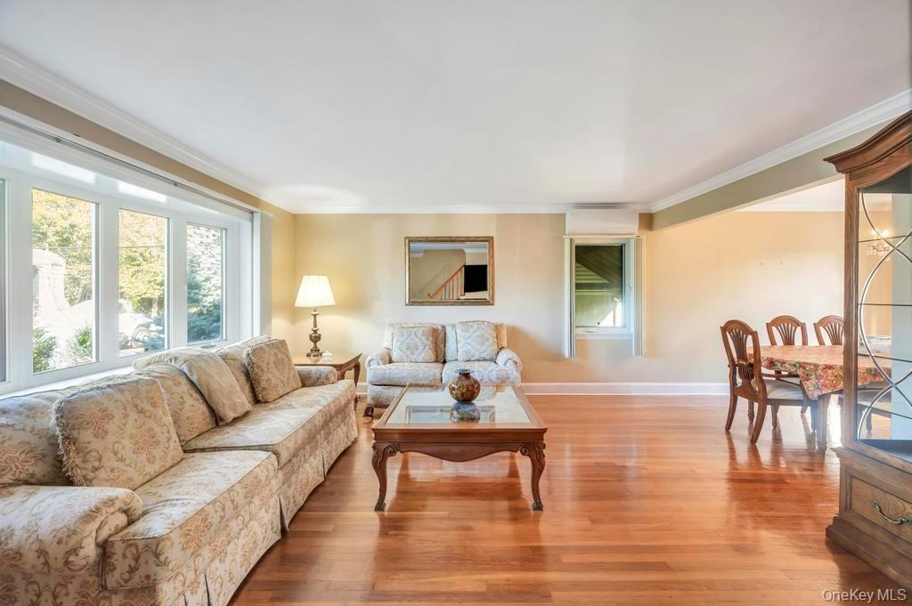 Single Family Place  Nassau County, NY 11040, MLS-925684-10