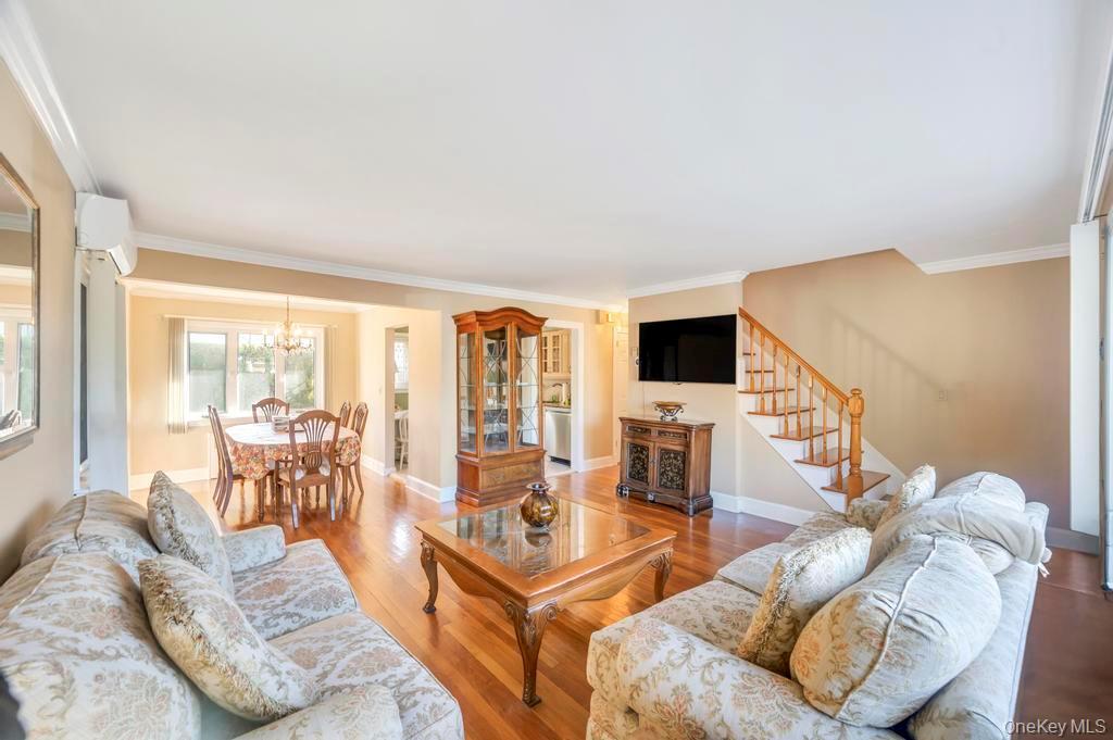 Single Family Place  Nassau County, NY 11040, MLS-925684-11