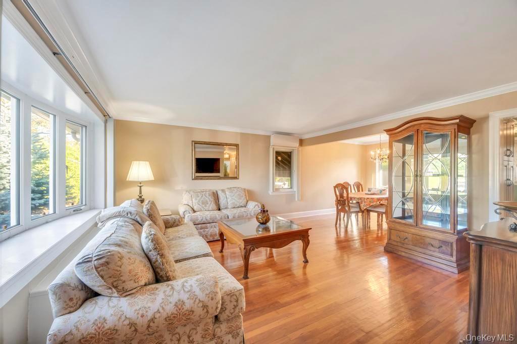 Single Family Place  Nassau County, NY 11040, MLS-925684-8