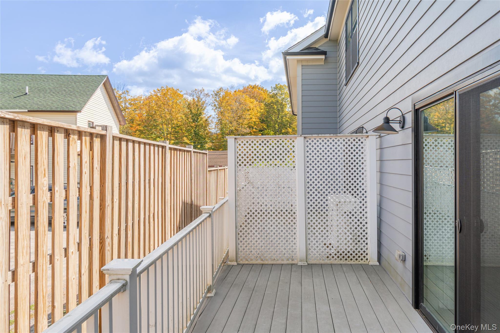 Single Family County Road 65  Greene County, NY 12439, MLS-925738-11