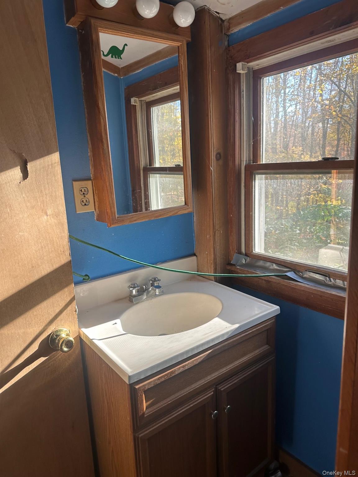 Single Family Tinkertown  Dutchess County, NY 12578, MLS-925801-9