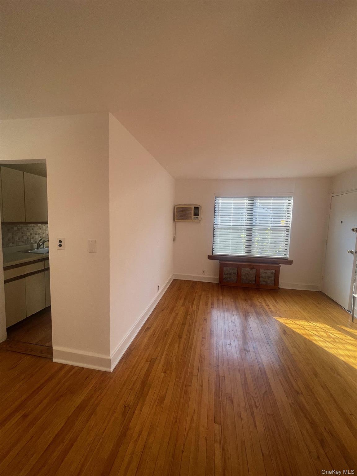 Coop 69  Queens, NY 11365, MLS-925809-11