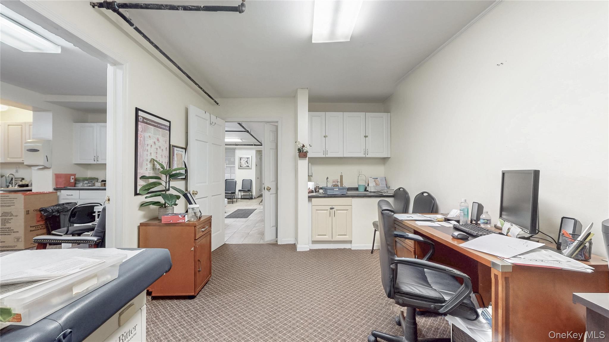 Commercial Sale Schenectady Brooklyn, NY 11203, MLS-925844-11