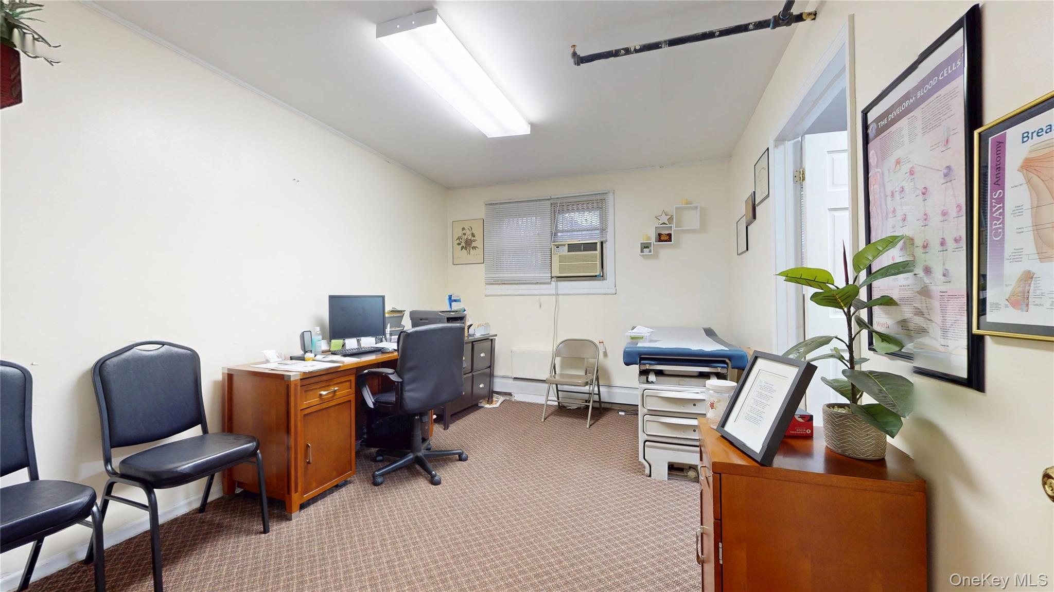 Commercial Sale Schenectady Brooklyn, NY 11203, MLS-925844-12