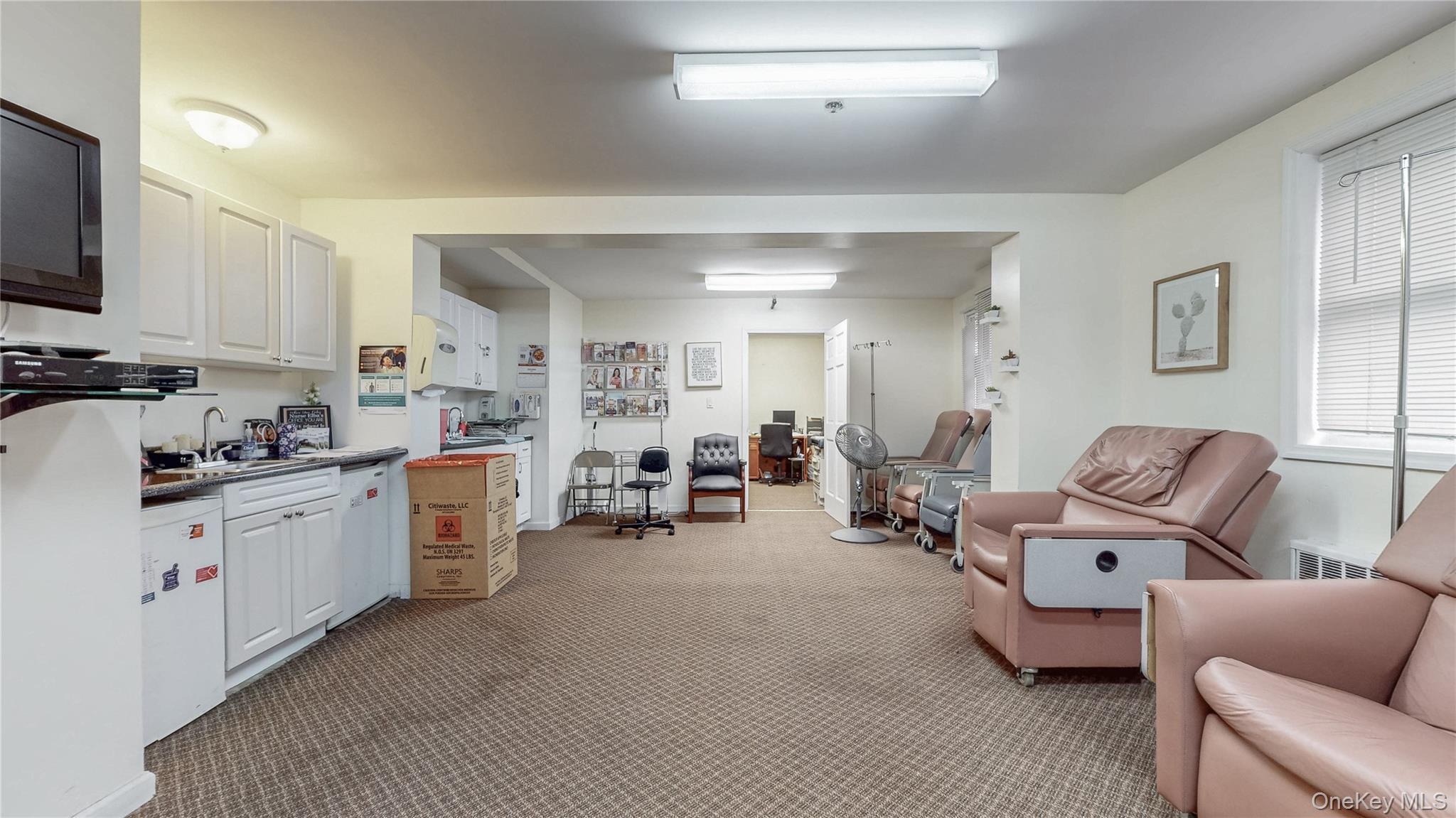 Commercial Sale Schenectady Brooklyn, NY 11203, MLS-925844-14