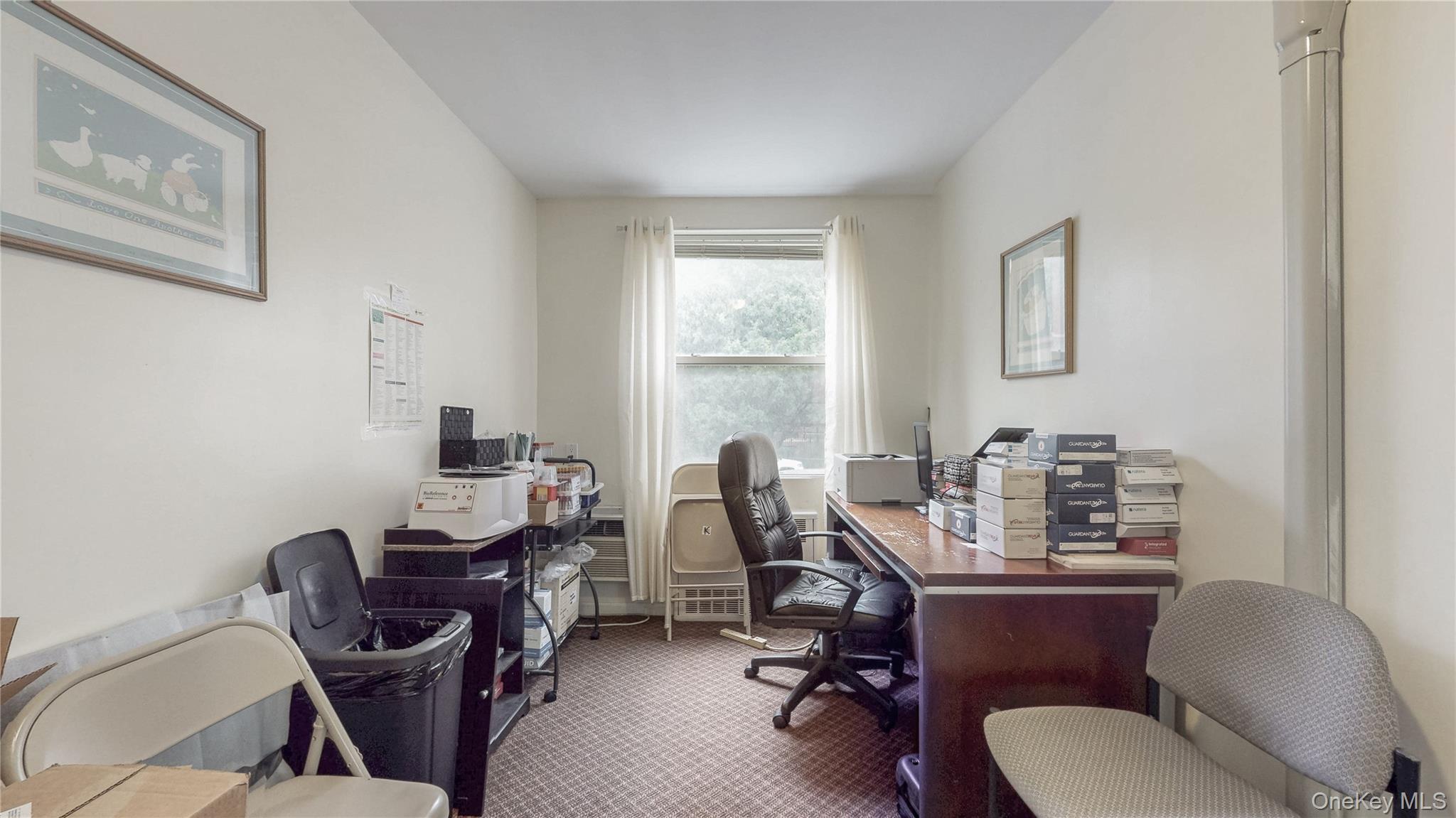 Commercial Sale Schenectady Brooklyn, NY 11203, MLS-925844-15