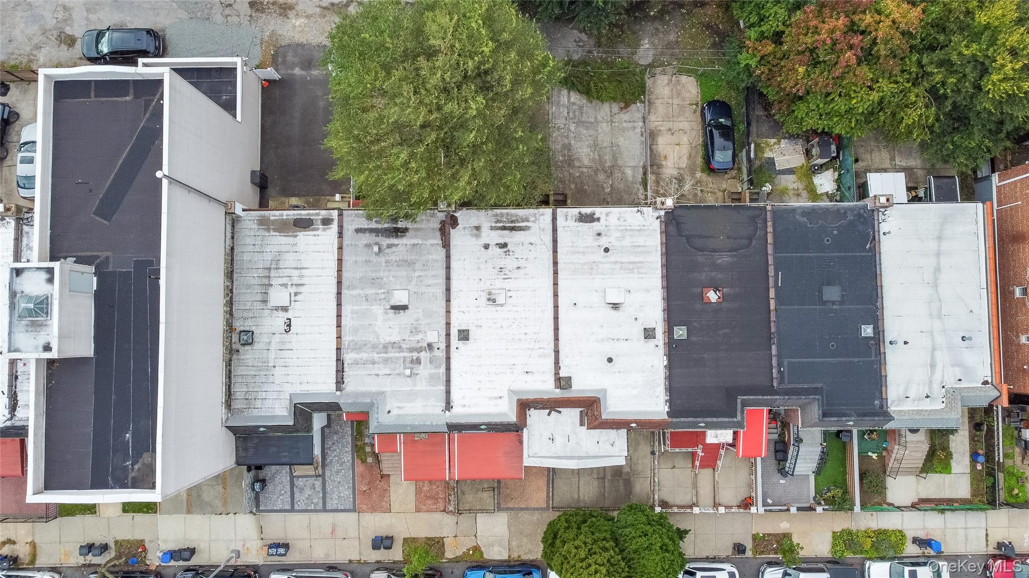 Commercial Sale Schenectady Brooklyn, NY 11203, MLS-925844-4