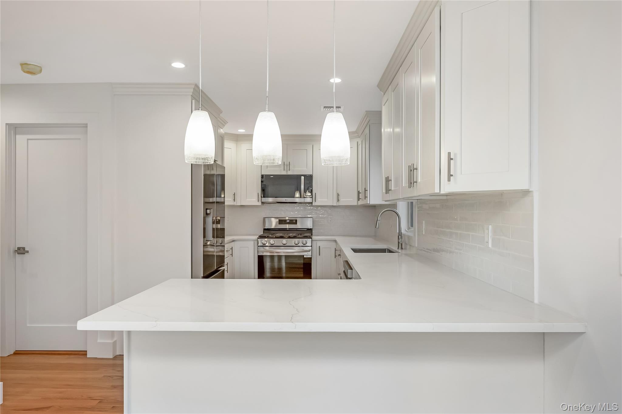 Single Family Douglas  Nassau County, NY 11793, MLS-925951-15