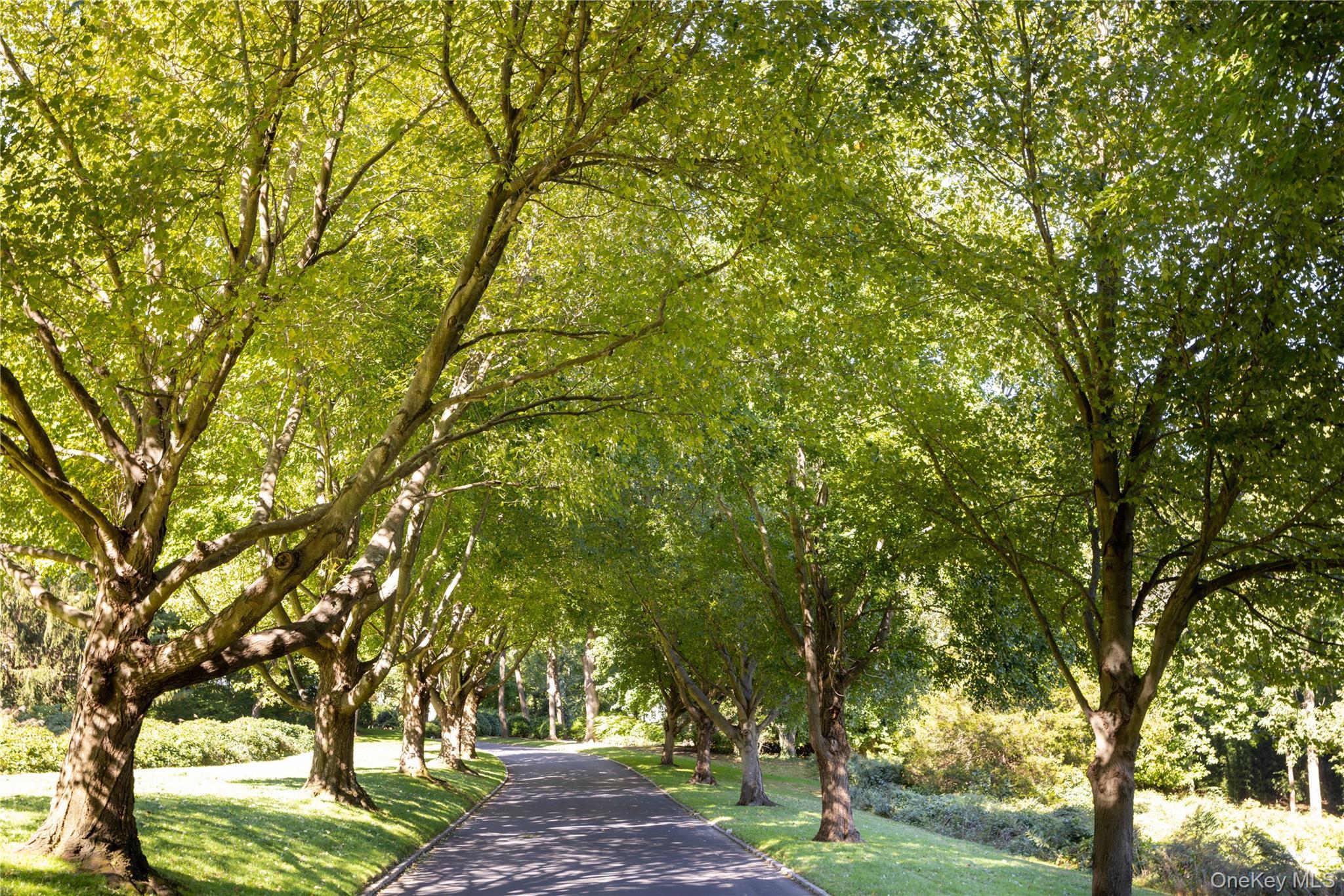 Single Family Rabbit Run  Nassau County, NY 11542, MLS-926097-17