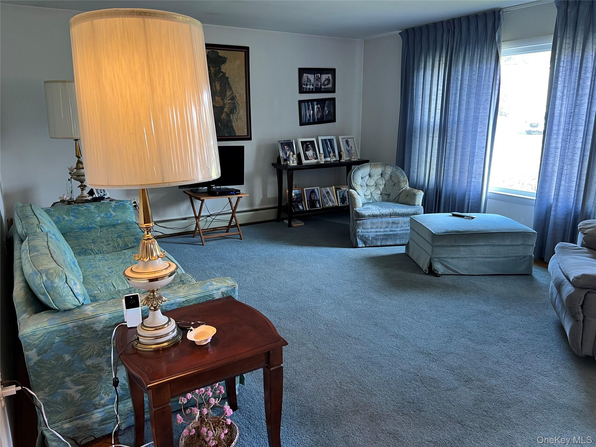 Single Family Carriage  Orange County, NY 12550, MLS-926114-11