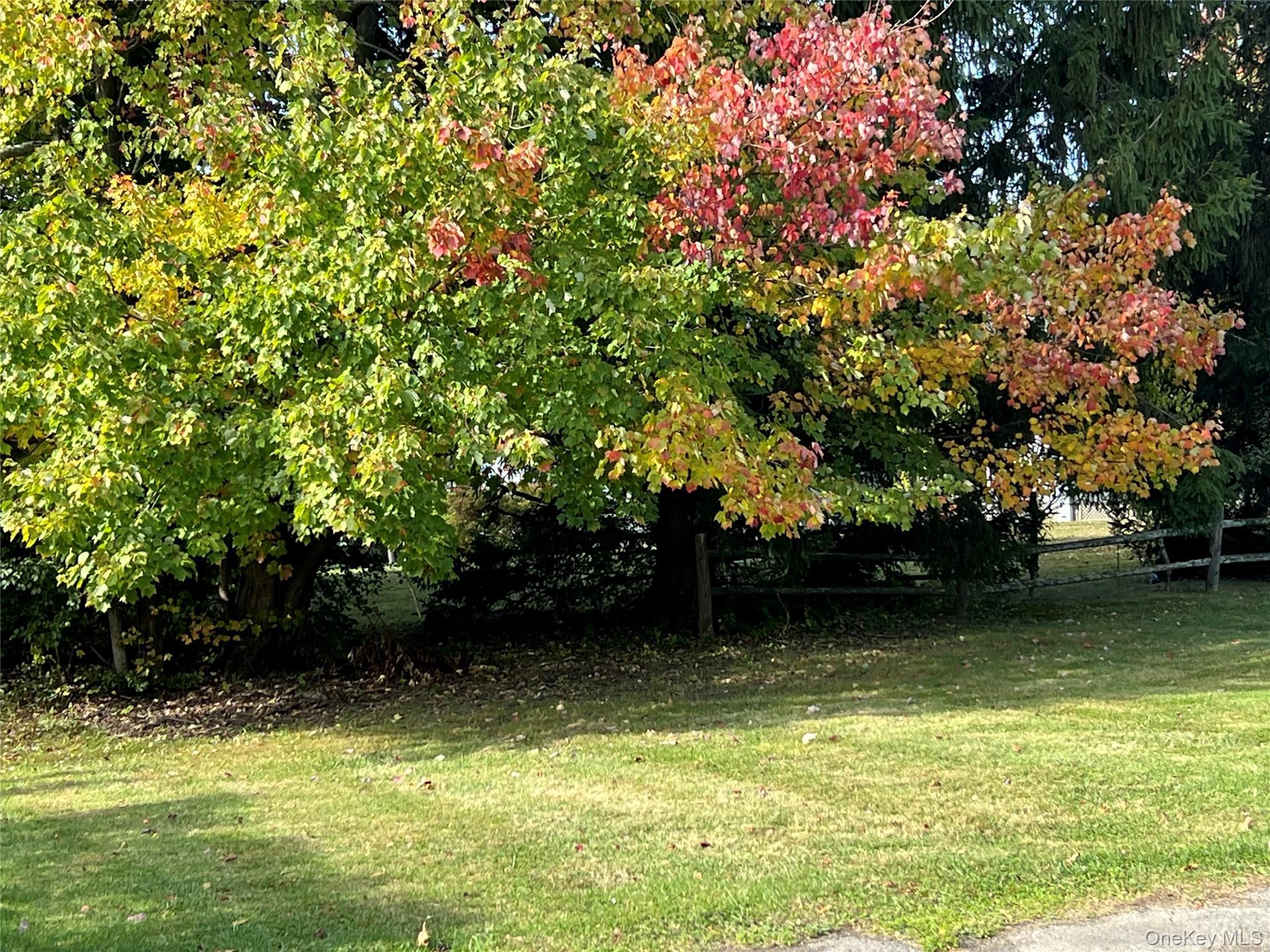 Single Family Carriage  Orange County, NY 12550, MLS-926114-4