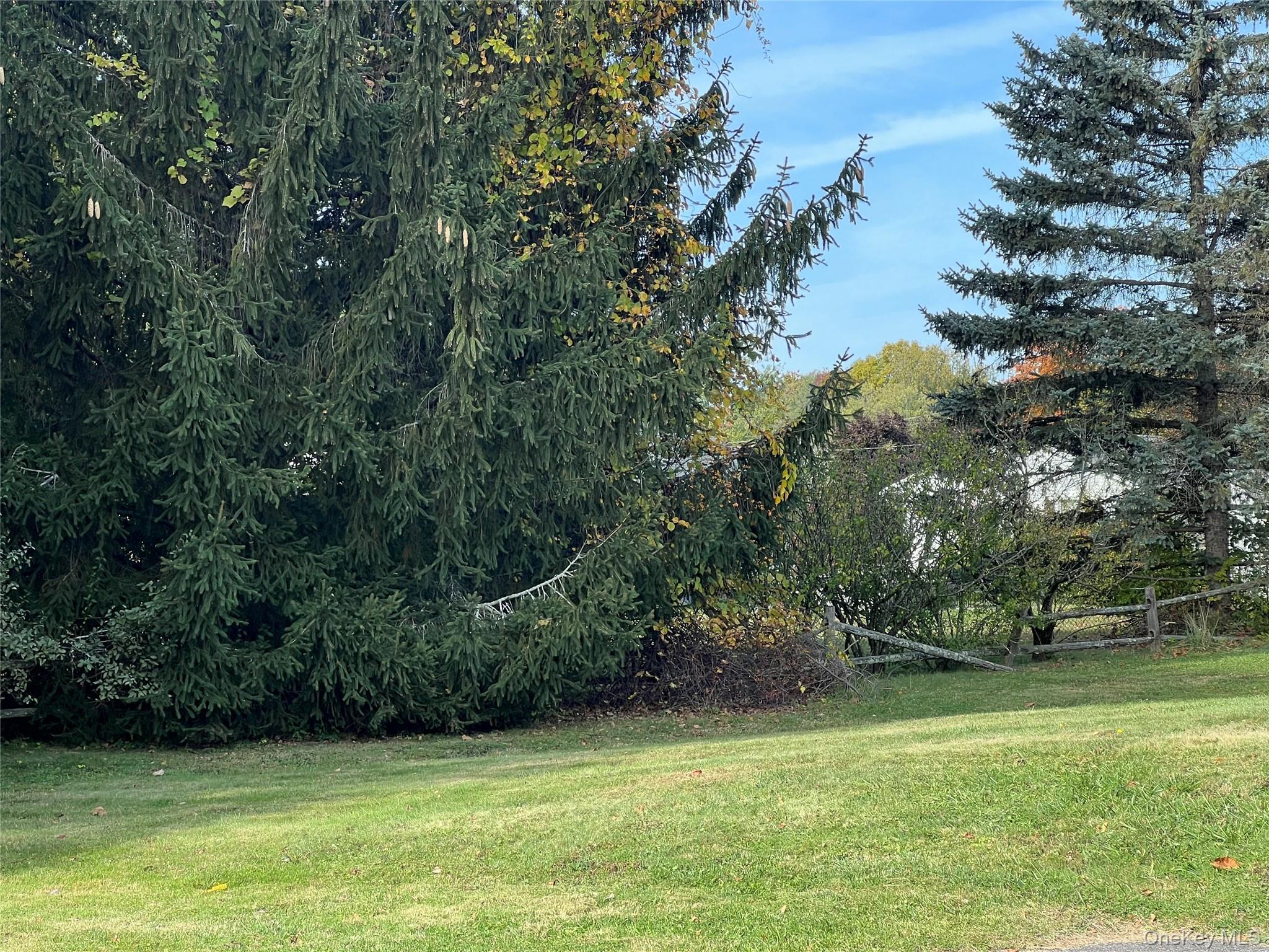 Single Family Carriage  Orange County, NY 12550, MLS-926114-5