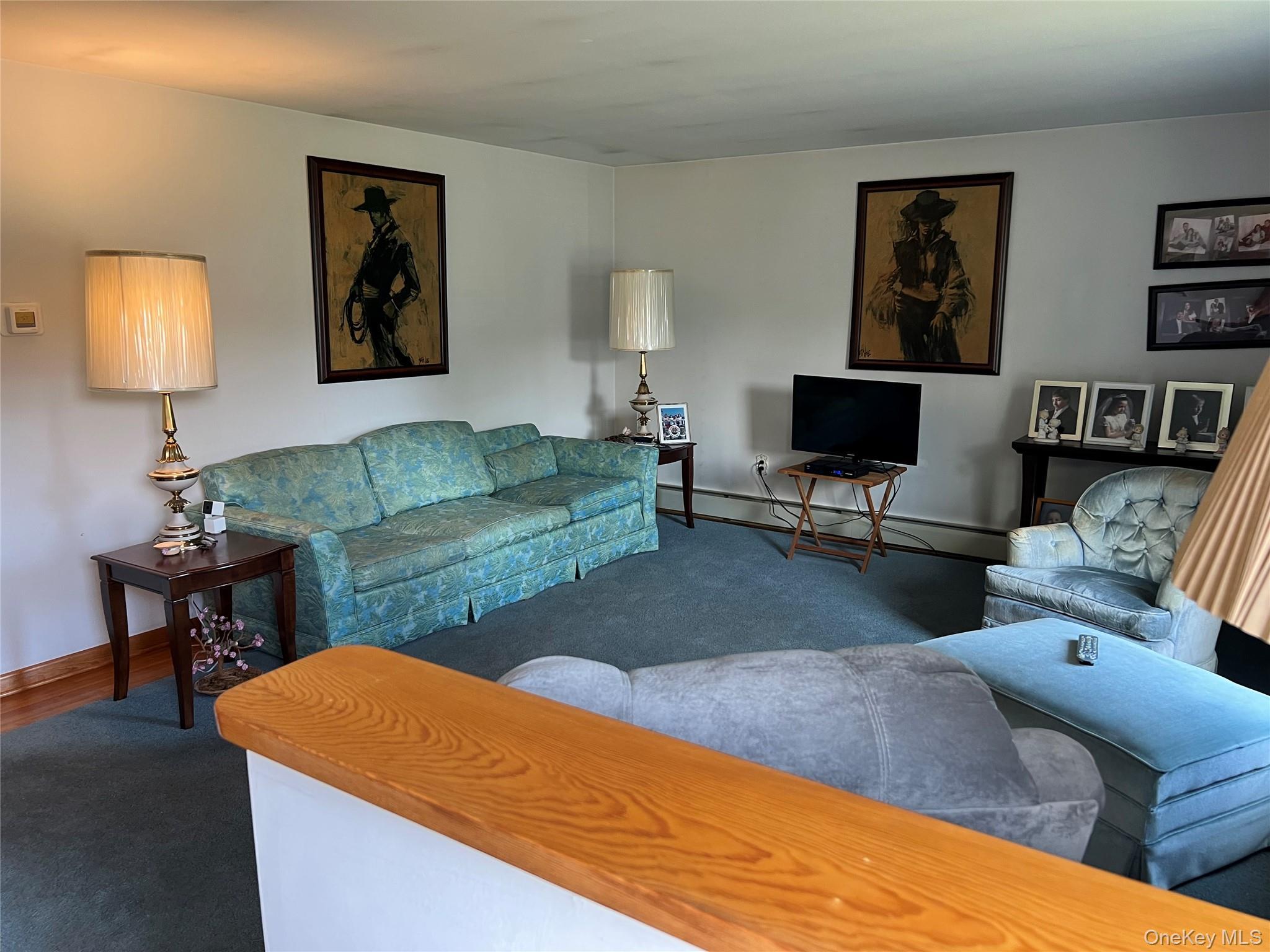 Single Family Carriage  Orange County, NY 12550, MLS-926114-8