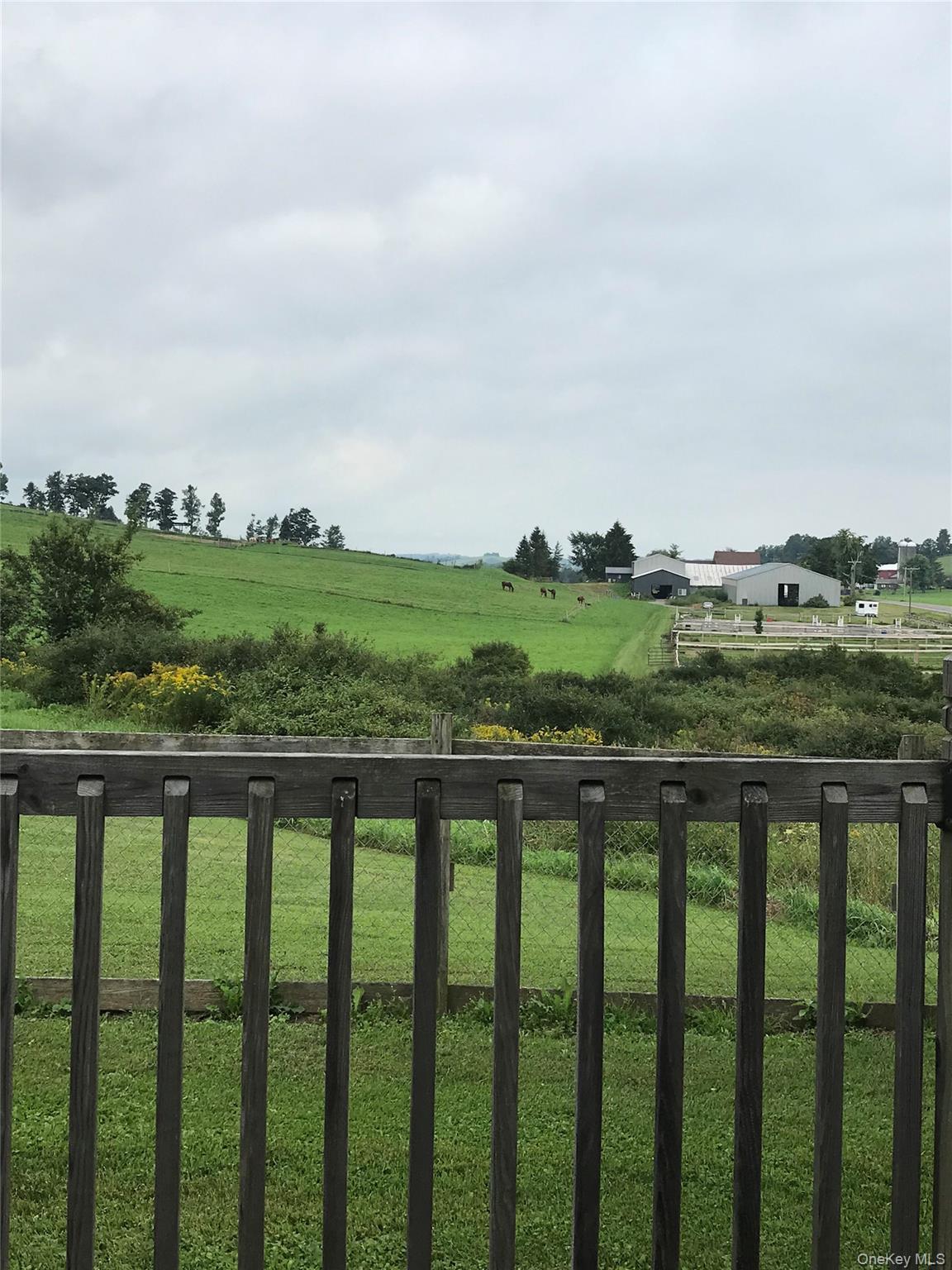 Single Family Youngs Rd  Out Of Area, NY 13361, MLS-926136-6