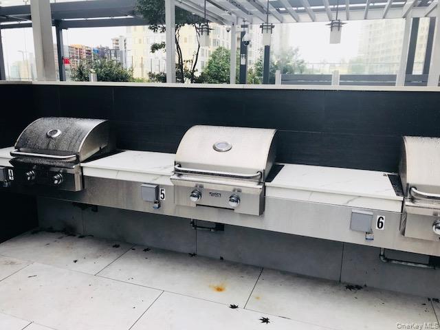 Condo 40 Queens, NY 11354, MLS-926213-16