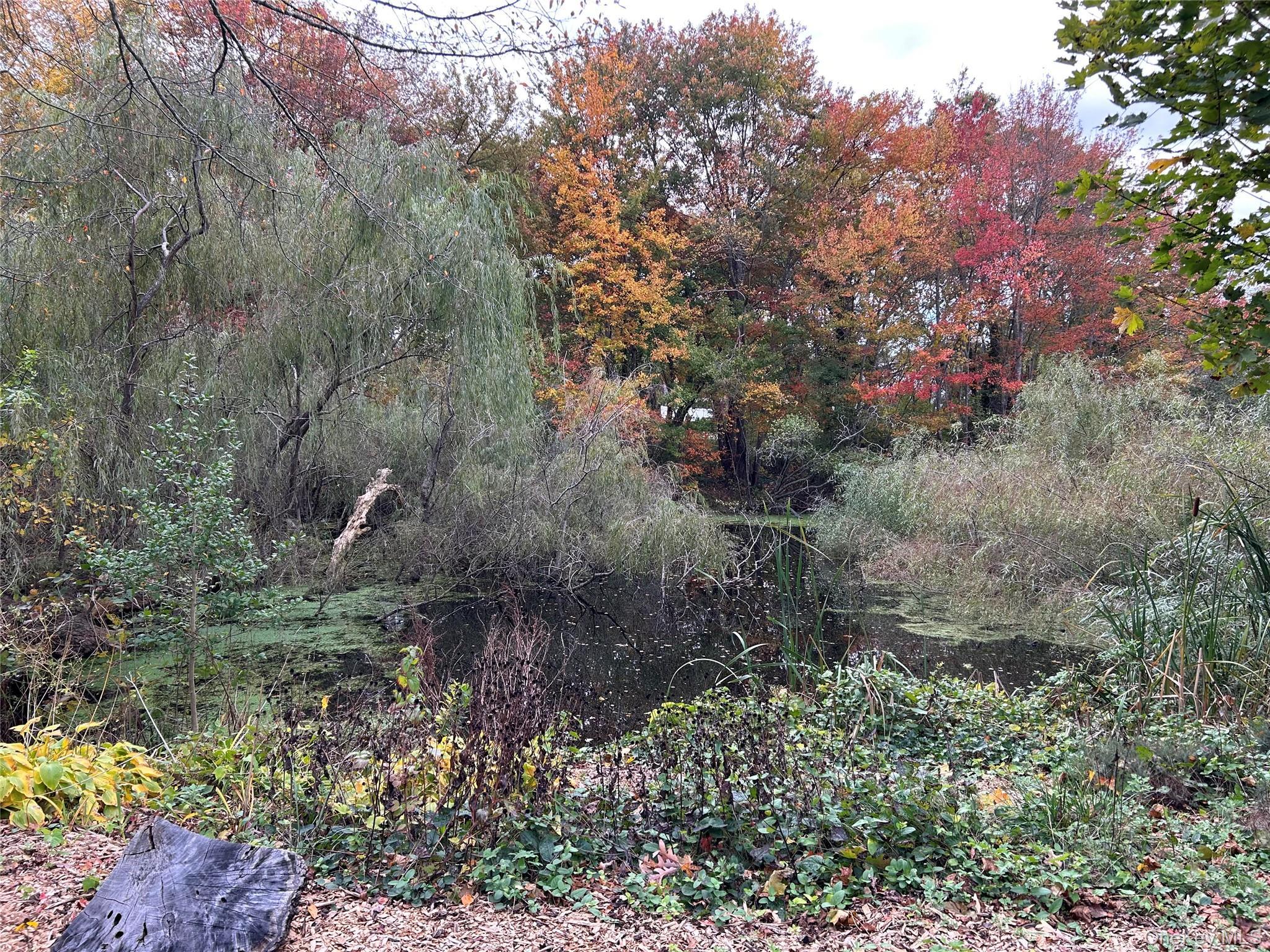 Single Family Shore  Suffolk County, NY 11772, MLS-926230-28