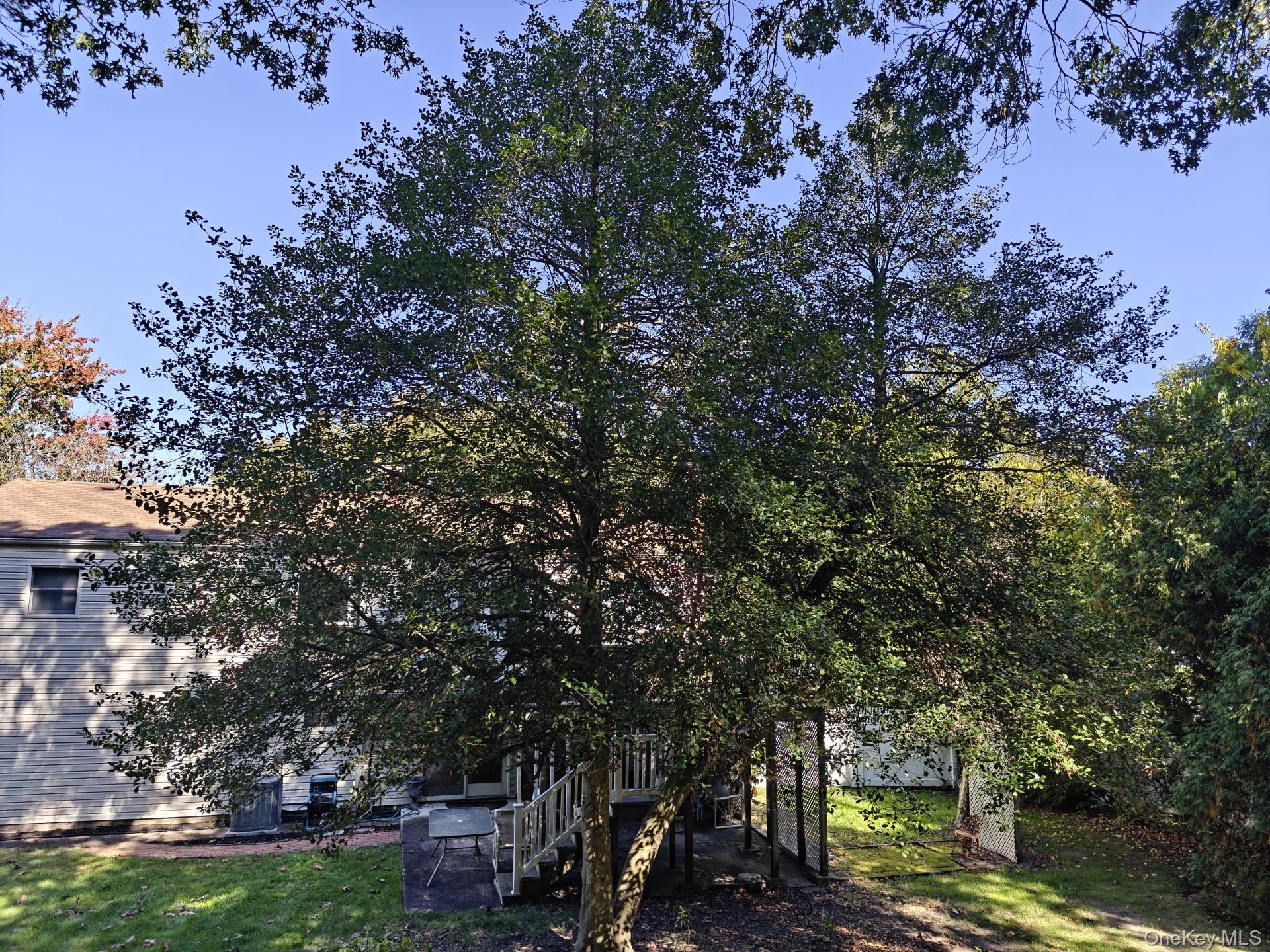 Single Family Atlantic  Suffolk County, NY 11788, MLS-926249-4