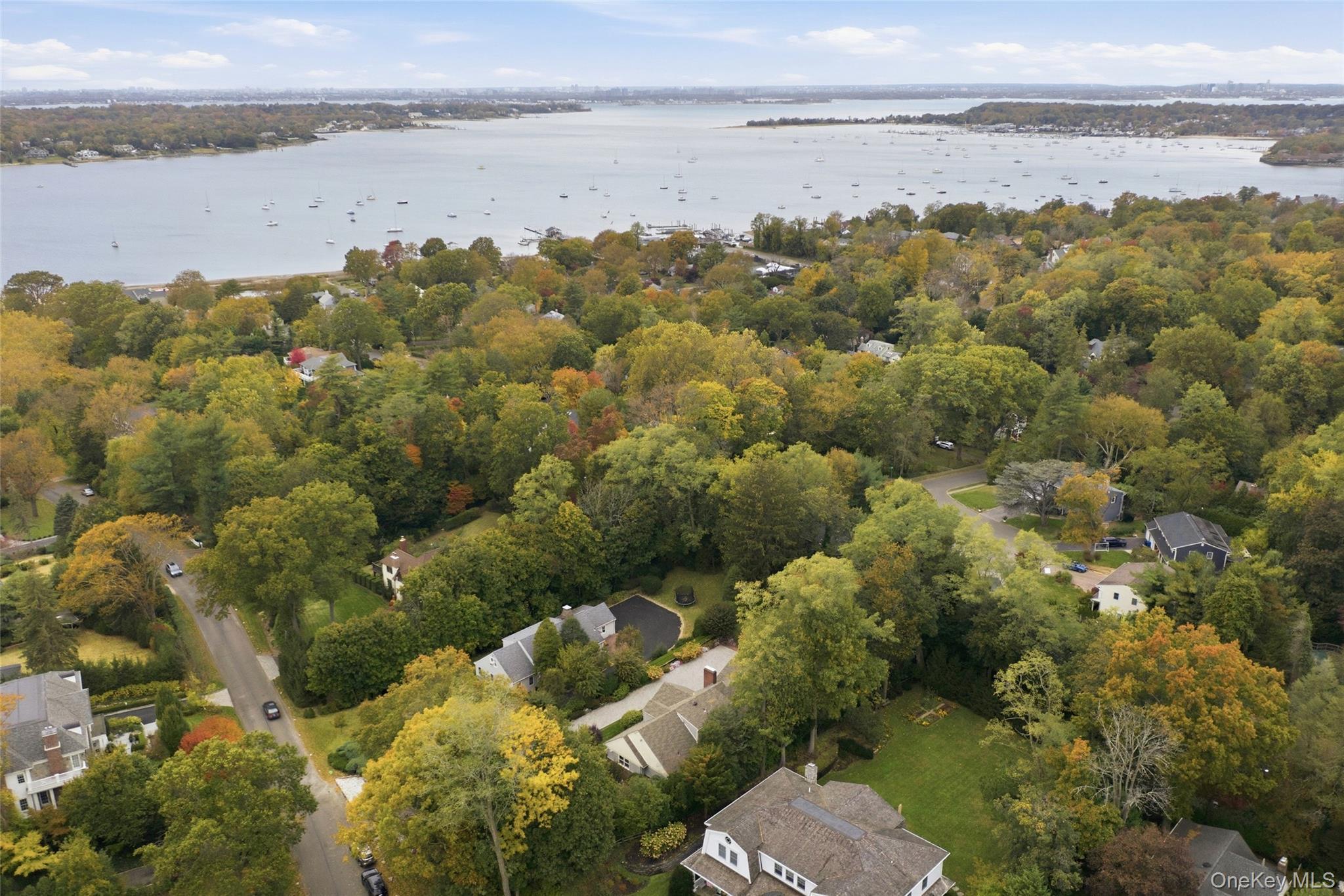 Single Family Luquer Nassau County, NY 11030, MLS-926256-3