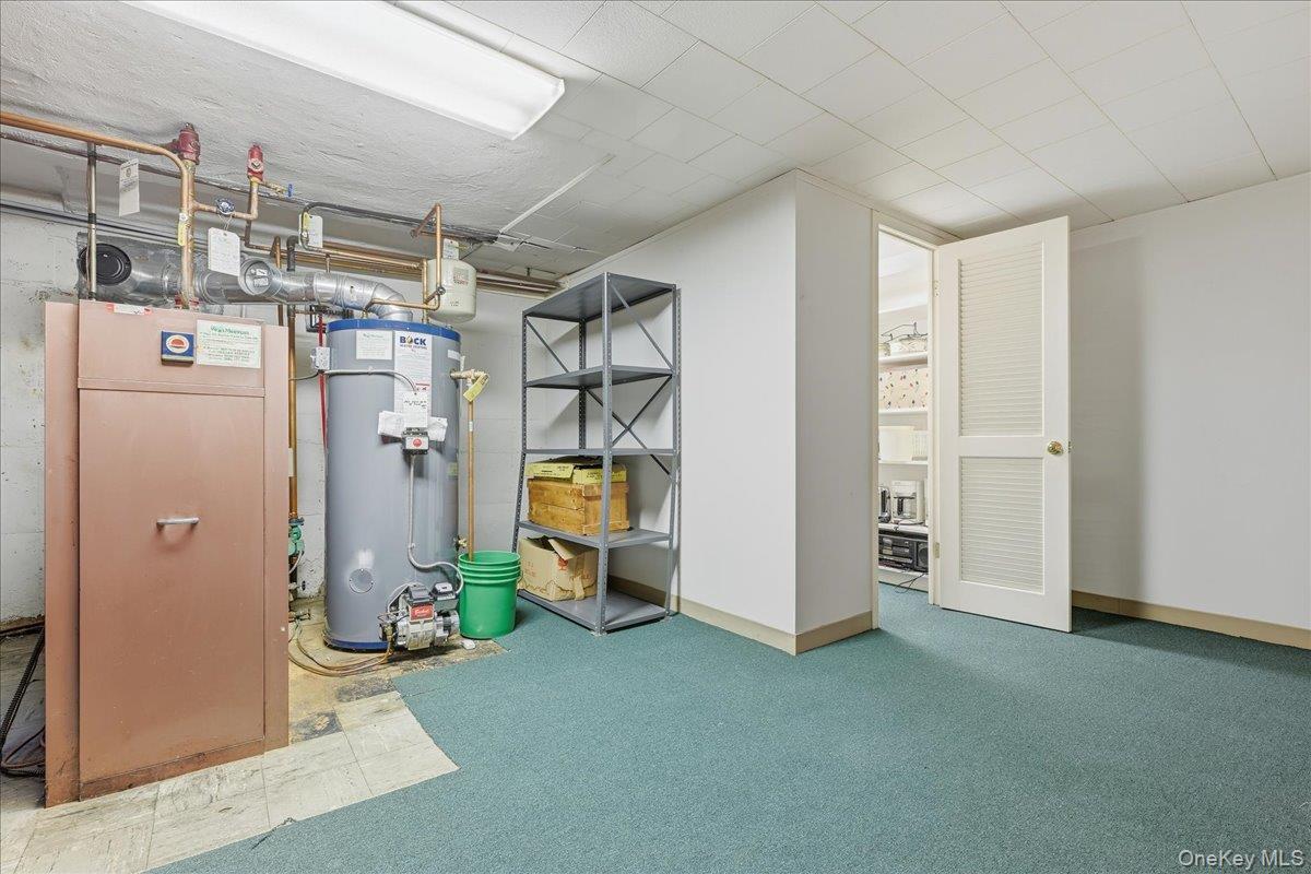 Single Family Luquer Nassau County, NY 11030, MLS-926256-33