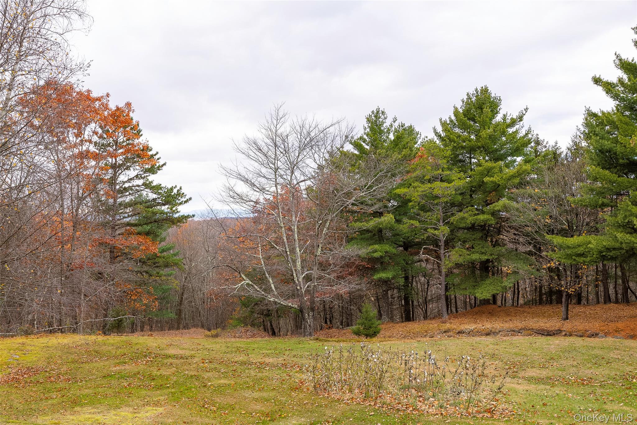 Single Family Knob Hill  Dutchess County, NY 12581, MLS-926302-30