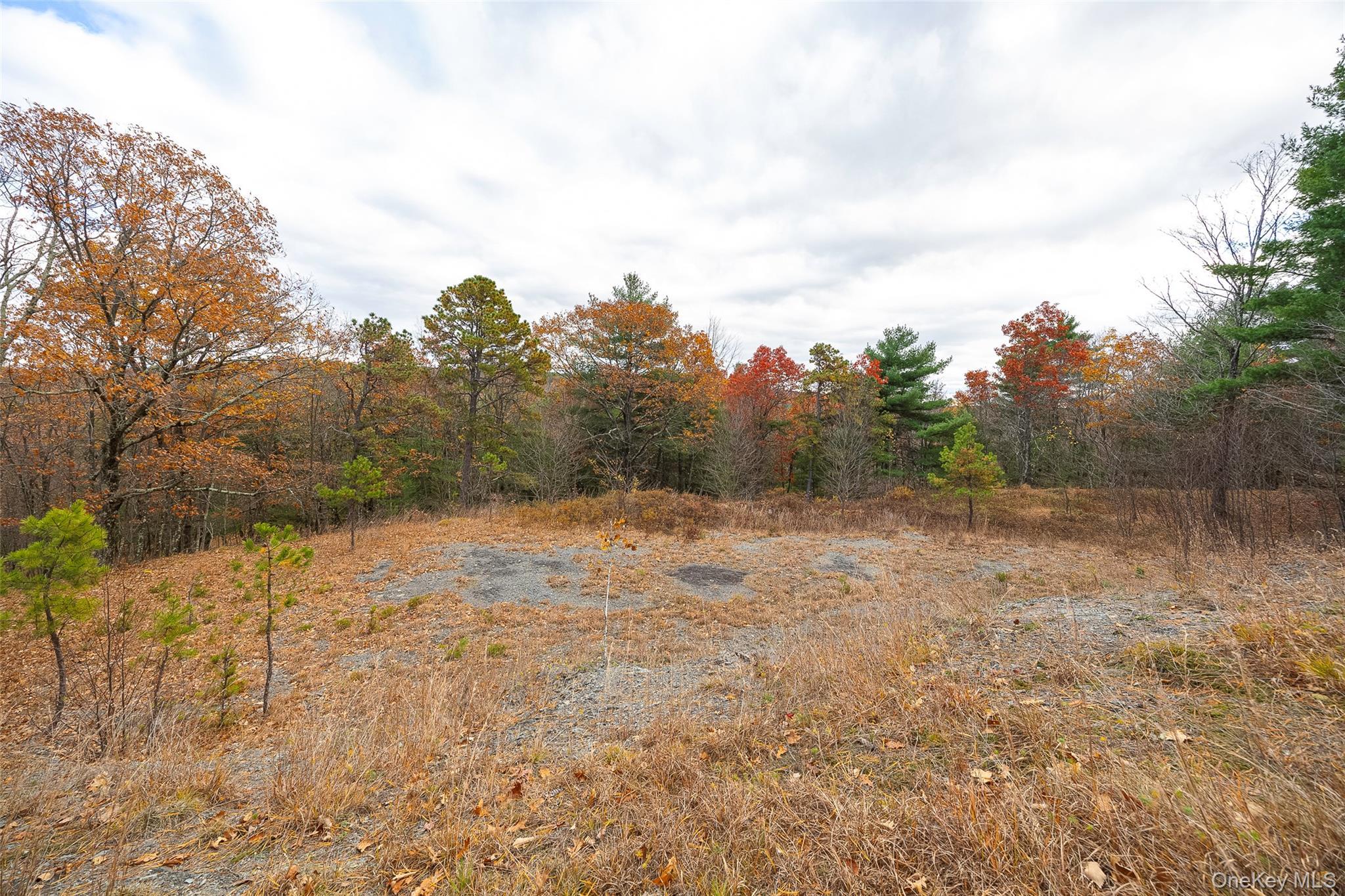 Single Family Knob Hill  Dutchess County, NY 12581, MLS-926302-31