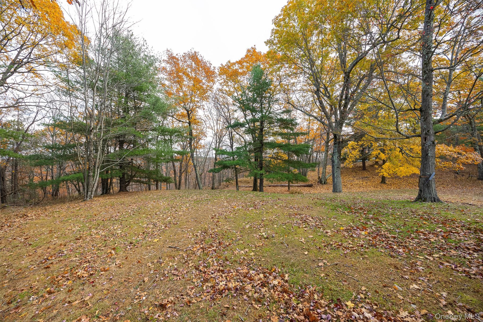 Single Family Knob Hill  Dutchess County, NY 12581, MLS-926302-33