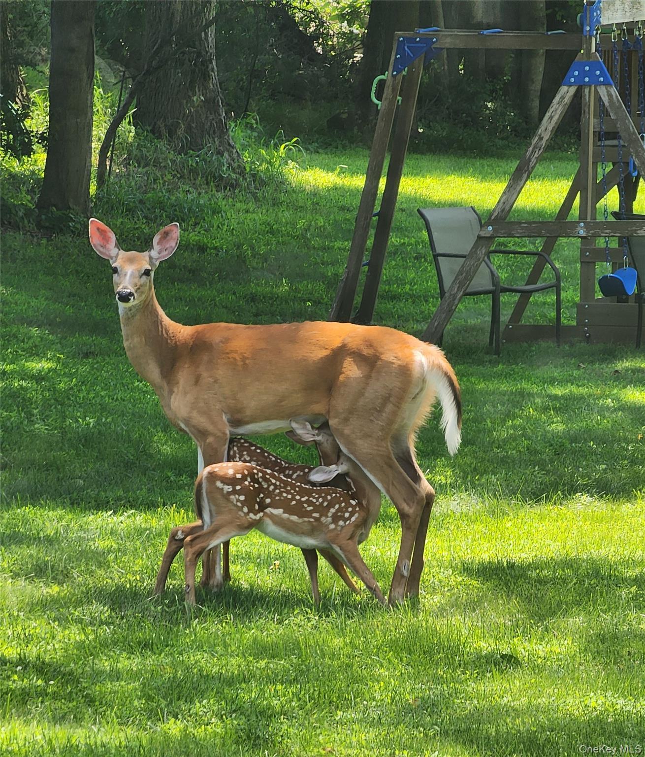 Single Family Hughson  Putnam County, NY 10512, MLS-926315-42