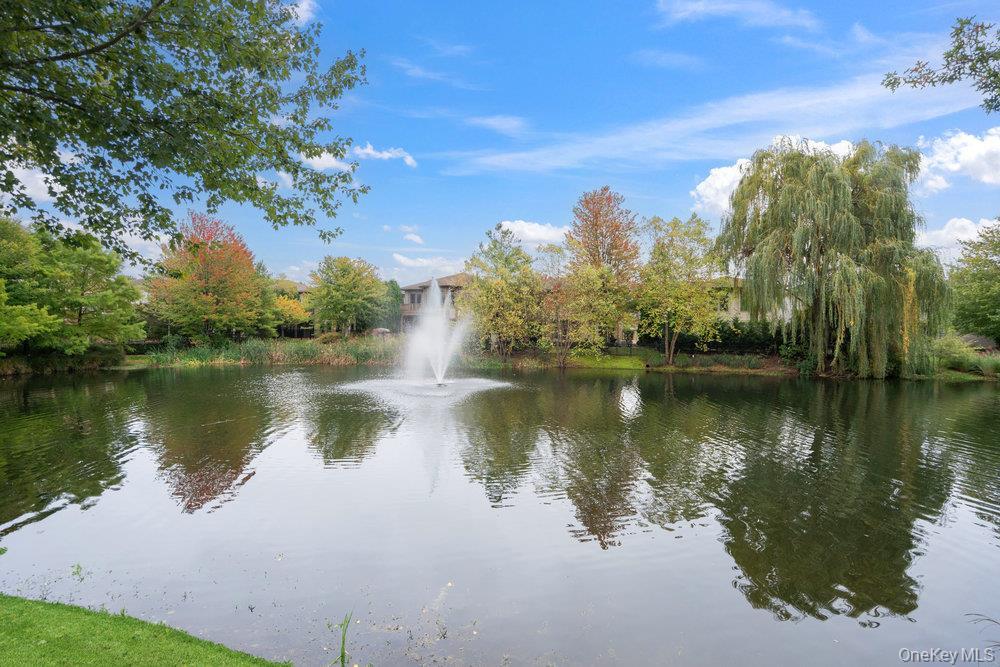 Single Family Holiday Pond Nassau County, NY 11753, MLS-926354-38