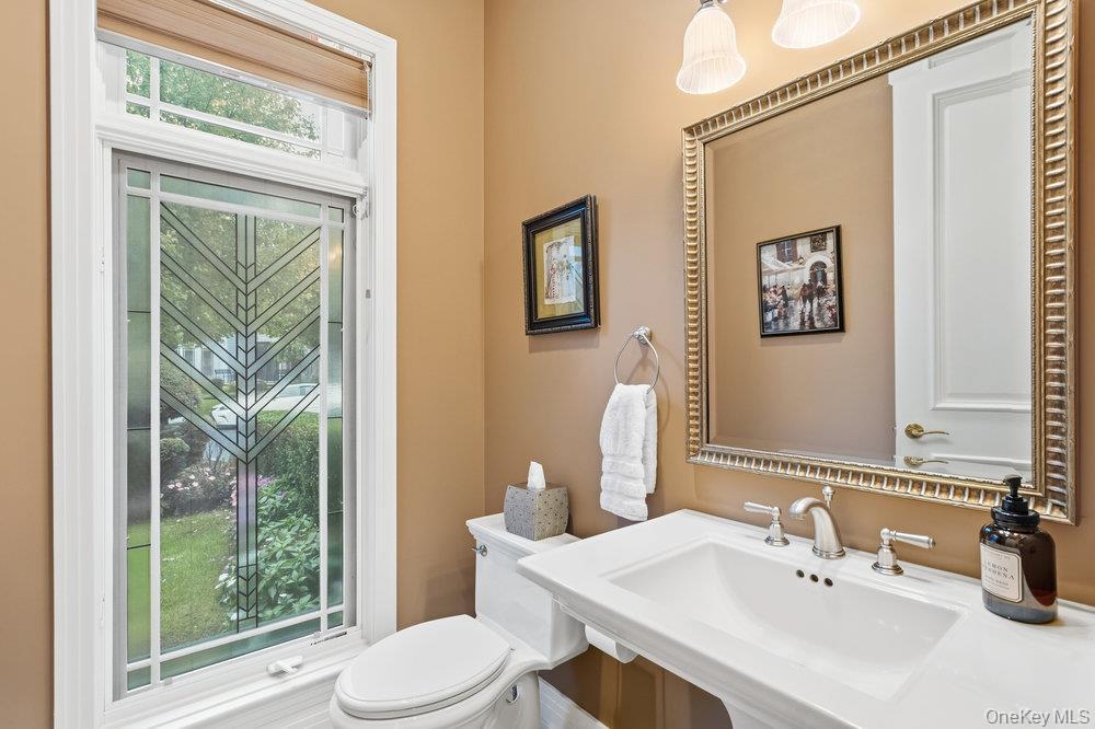 Single Family Holiday Pond Nassau County, NY 11753, MLS-926354-4