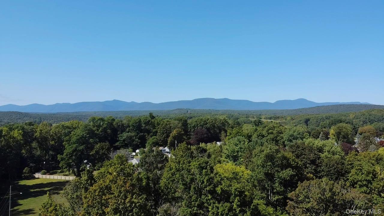 Single Family Jefferson  Greene County, NY 12414, MLS-926365-39