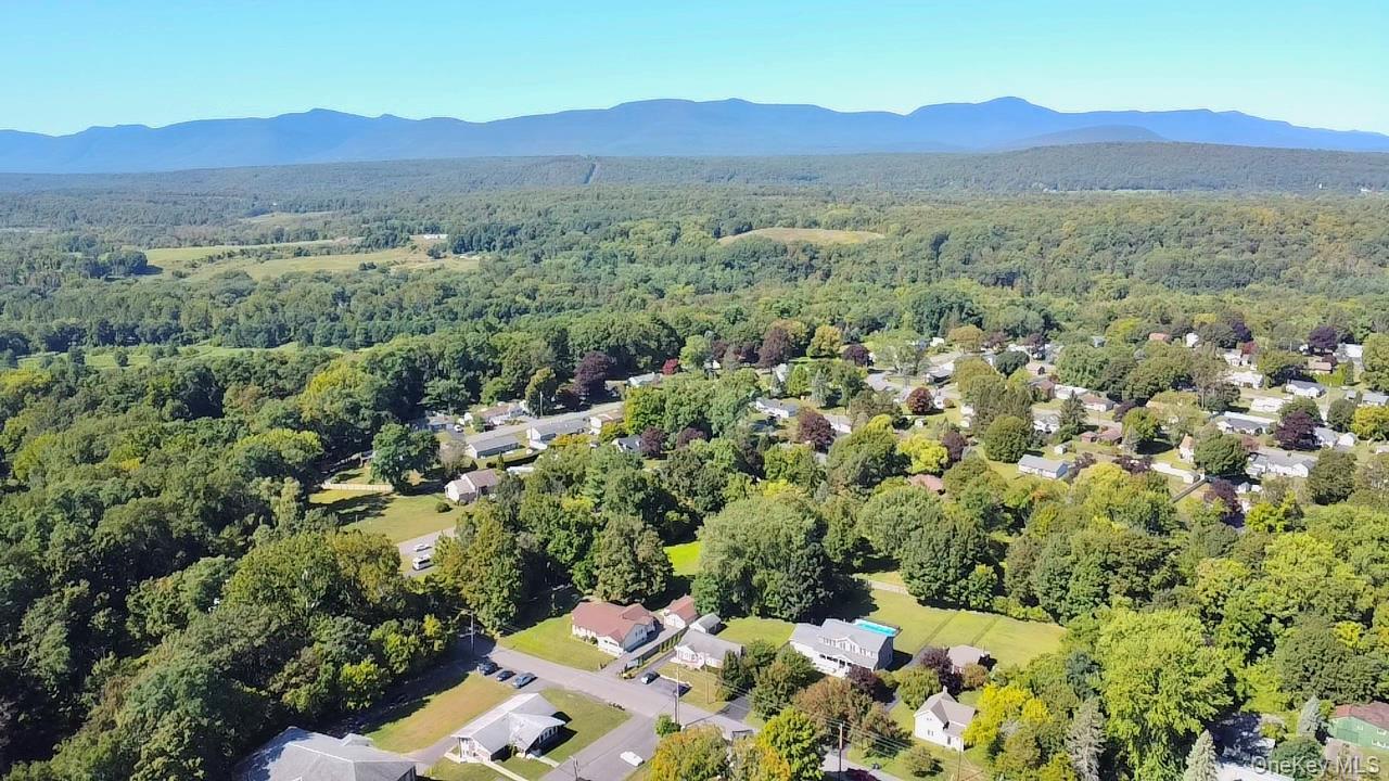 Single Family Jefferson  Greene County, NY 12414, MLS-926365-40