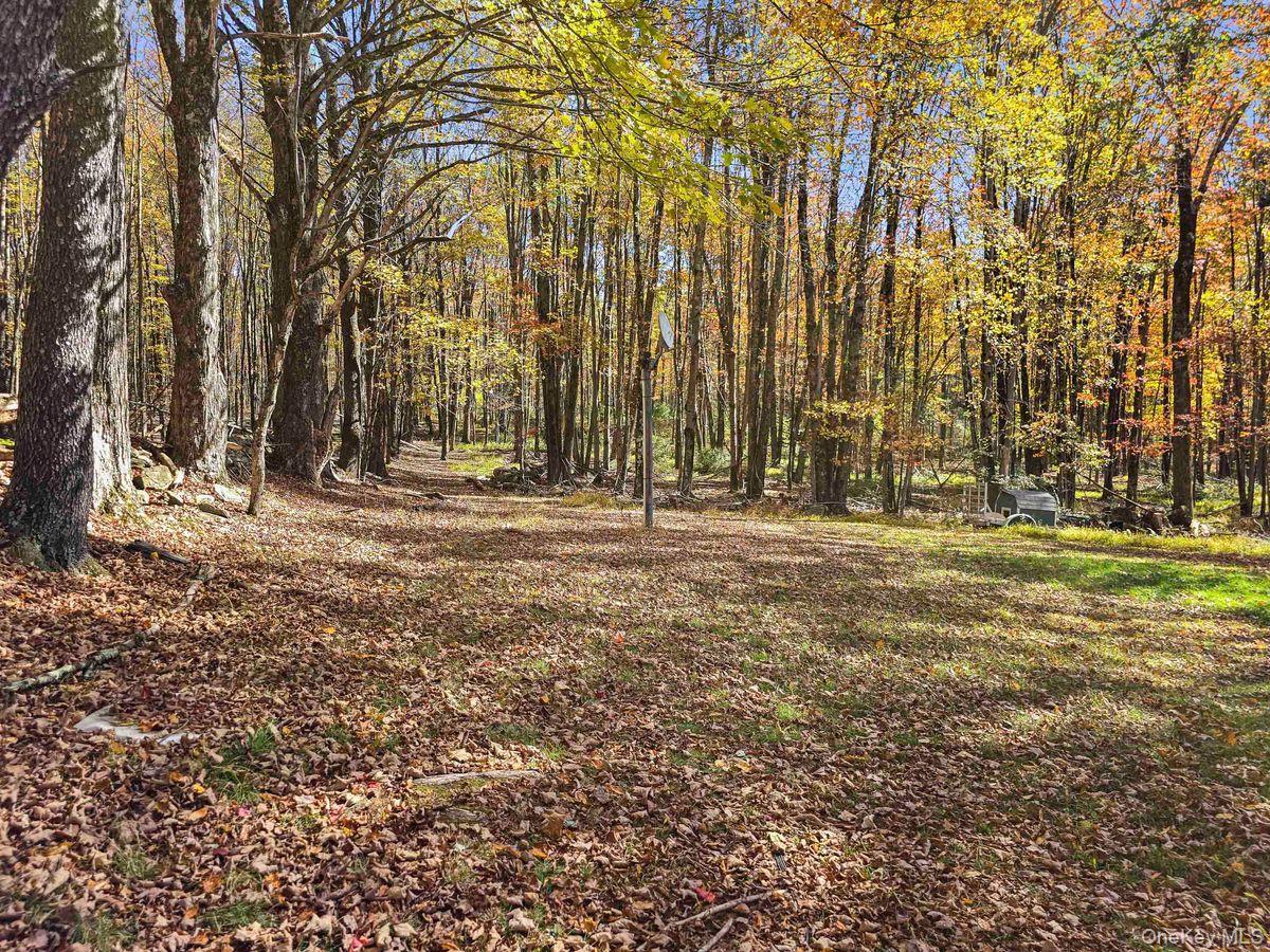 Single Family Royce  Sullivan County, NY 12720, MLS-926373-8